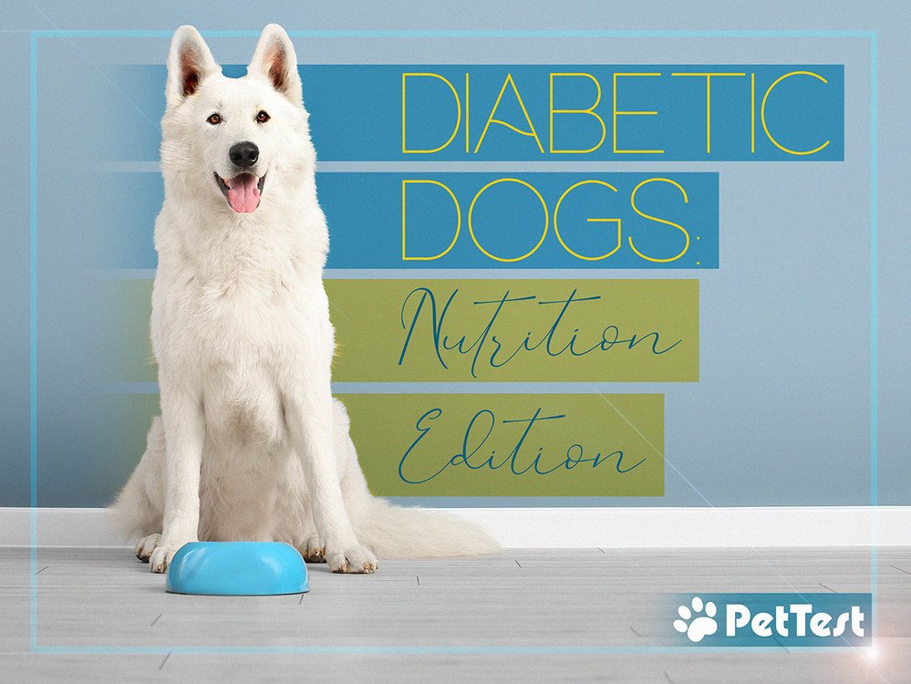 nutritionblogmarquee.jpg