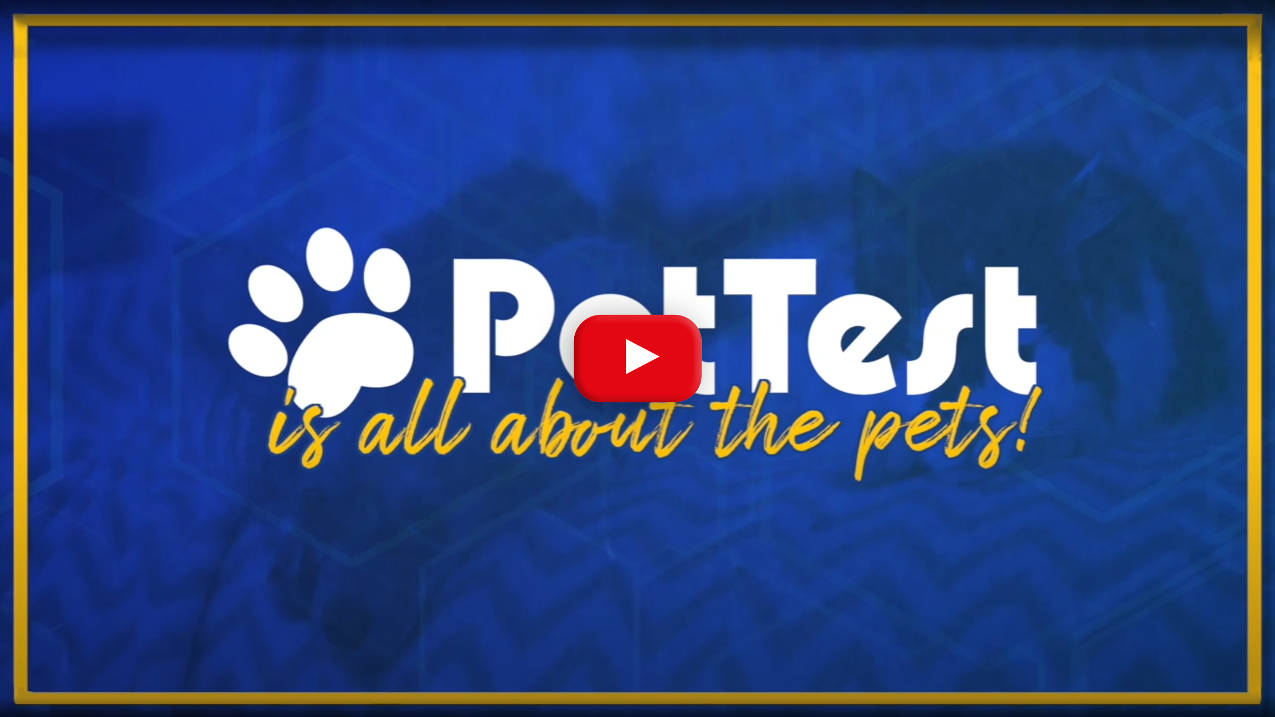 A video I created so our Customers can get to know the folks behind the PetTest brand, and learn more about what makes us so devoted to the health and wellness of your pets! 