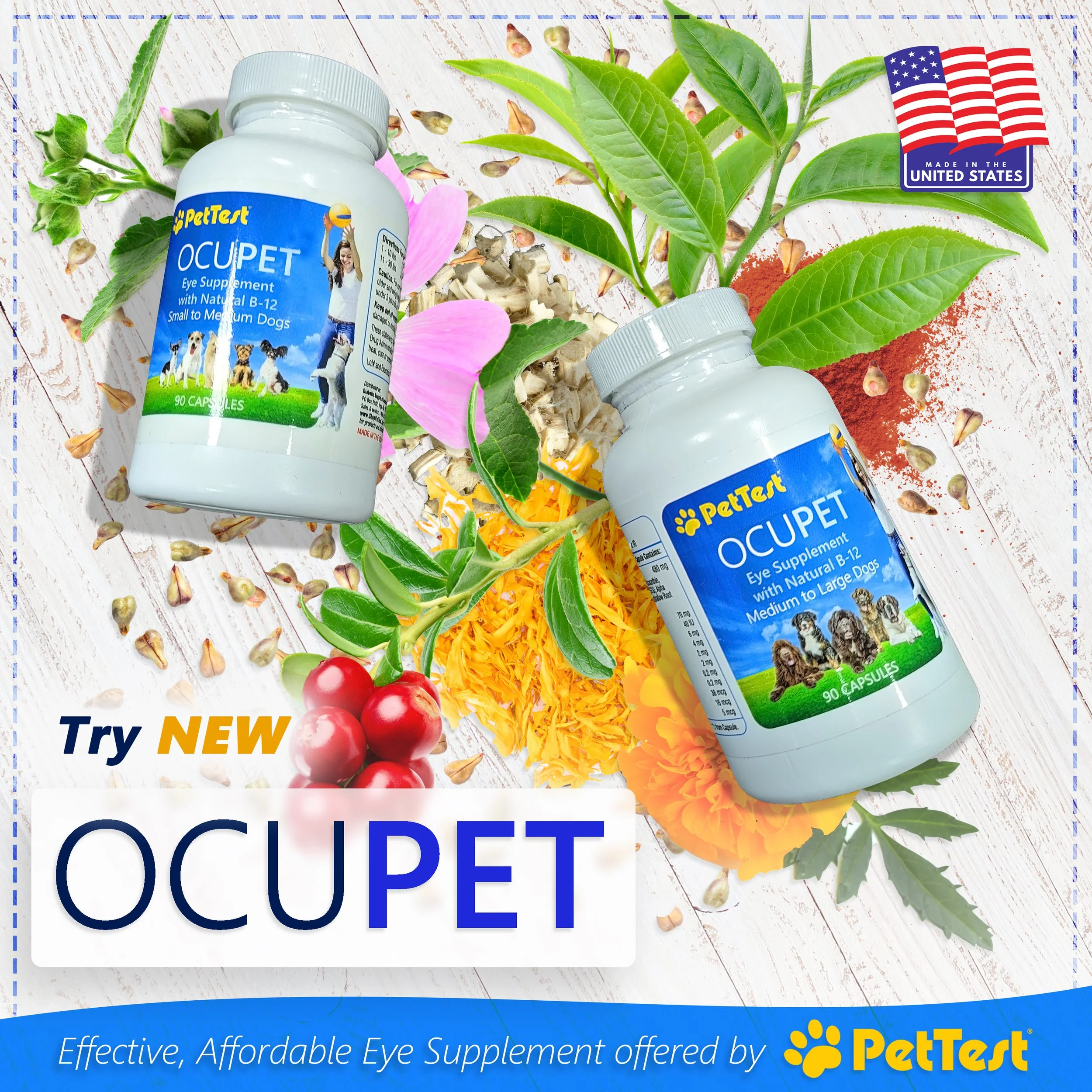 OCUPET_Ad.jpg