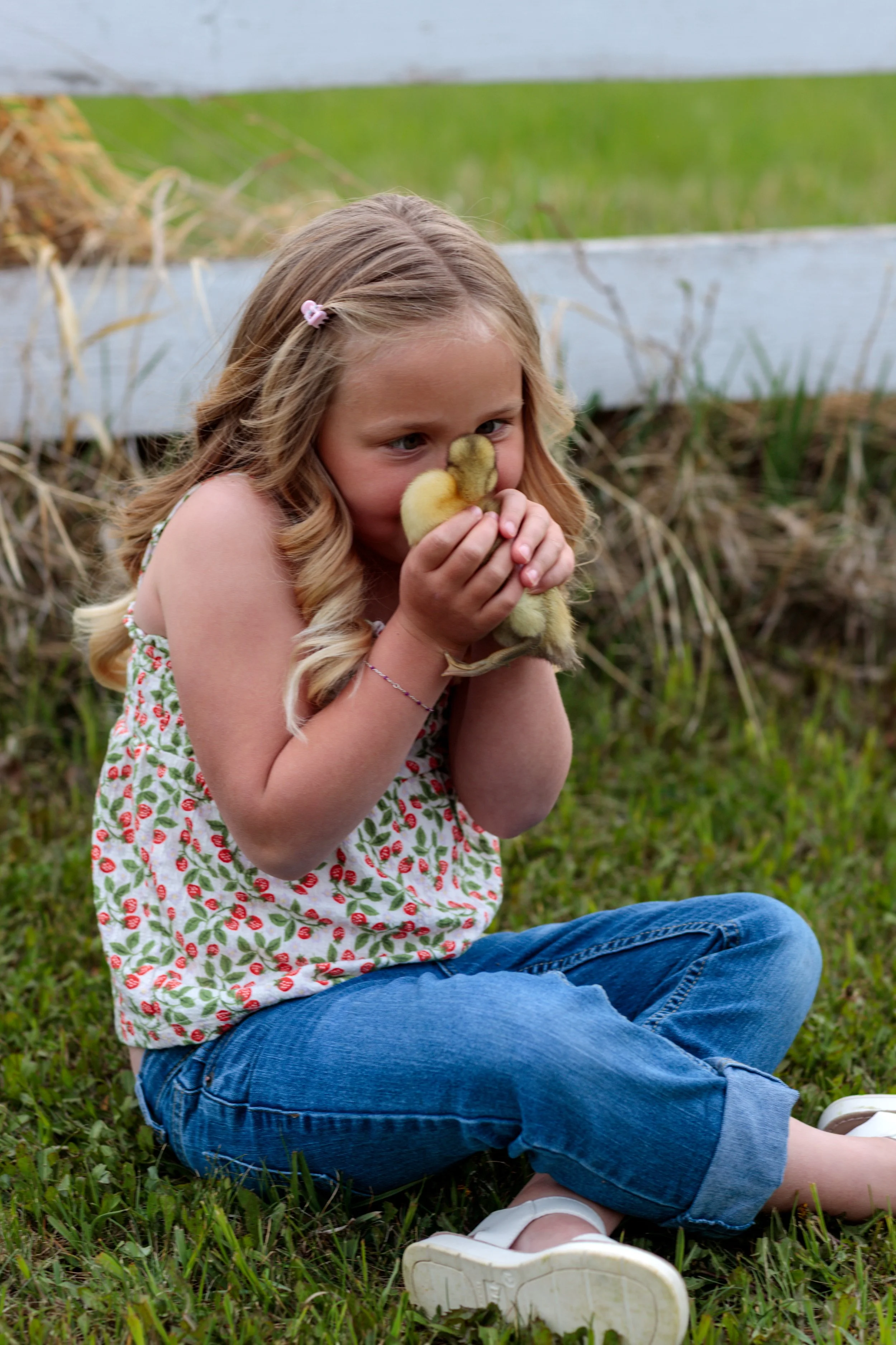 Young girl sitting on grass outdoors, holding and smelling a bunch of yellow and brown ducklings.