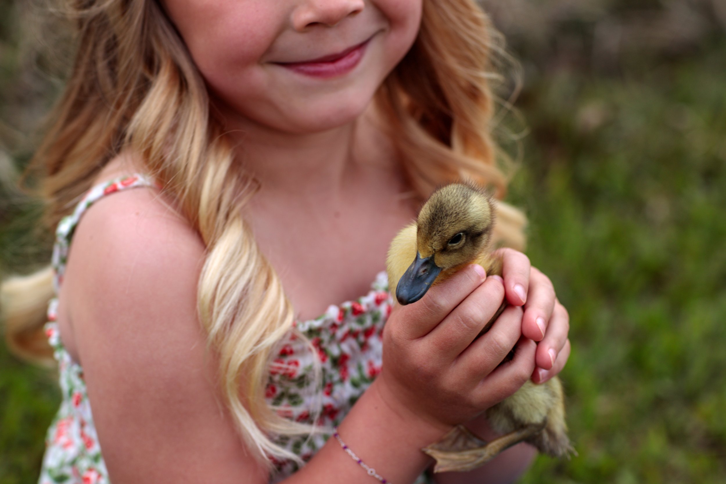 A young girl with long blonde hair smiling while holding a duckling in her hands outdoors.