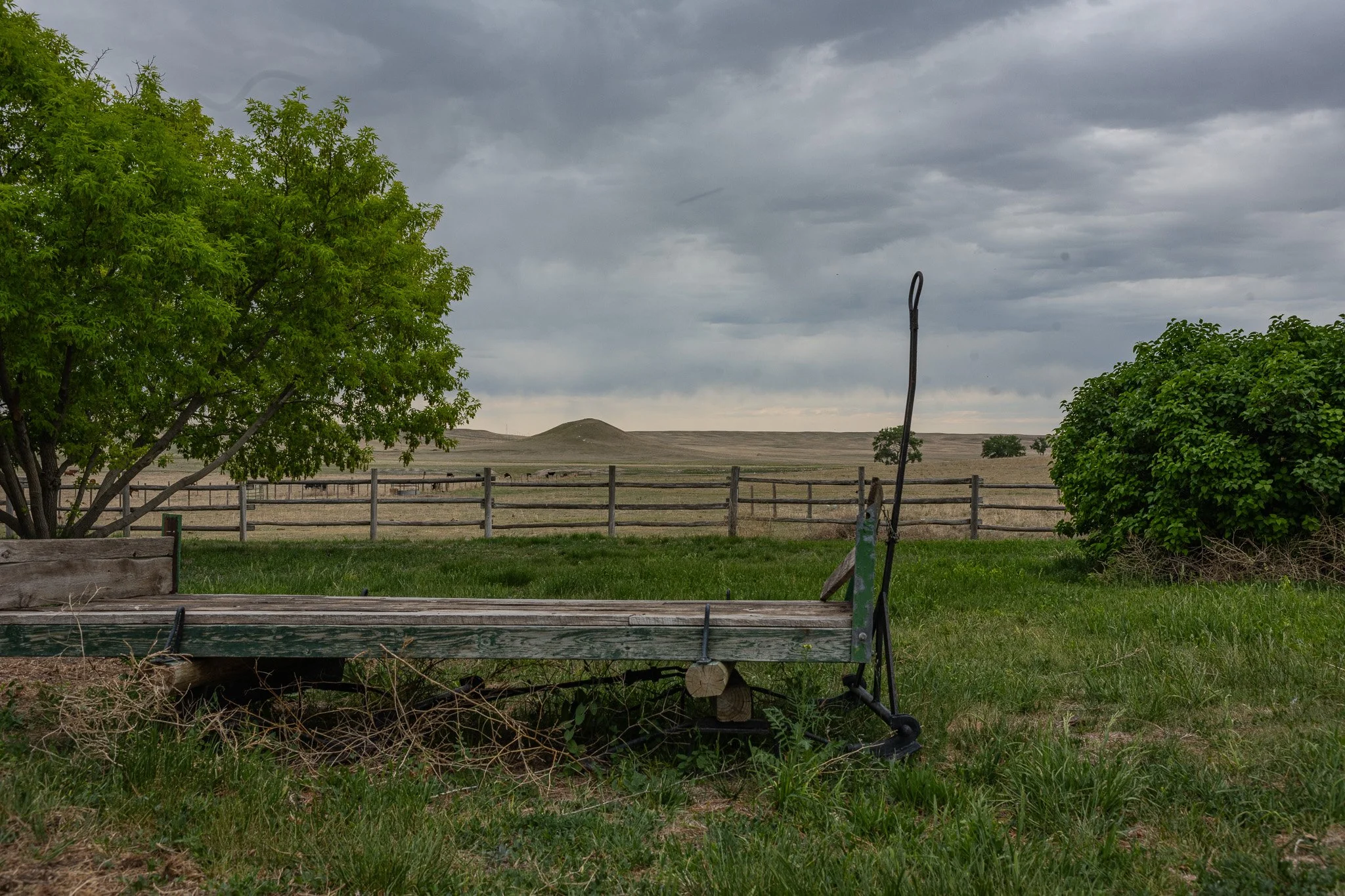 DSC_4742.jpg