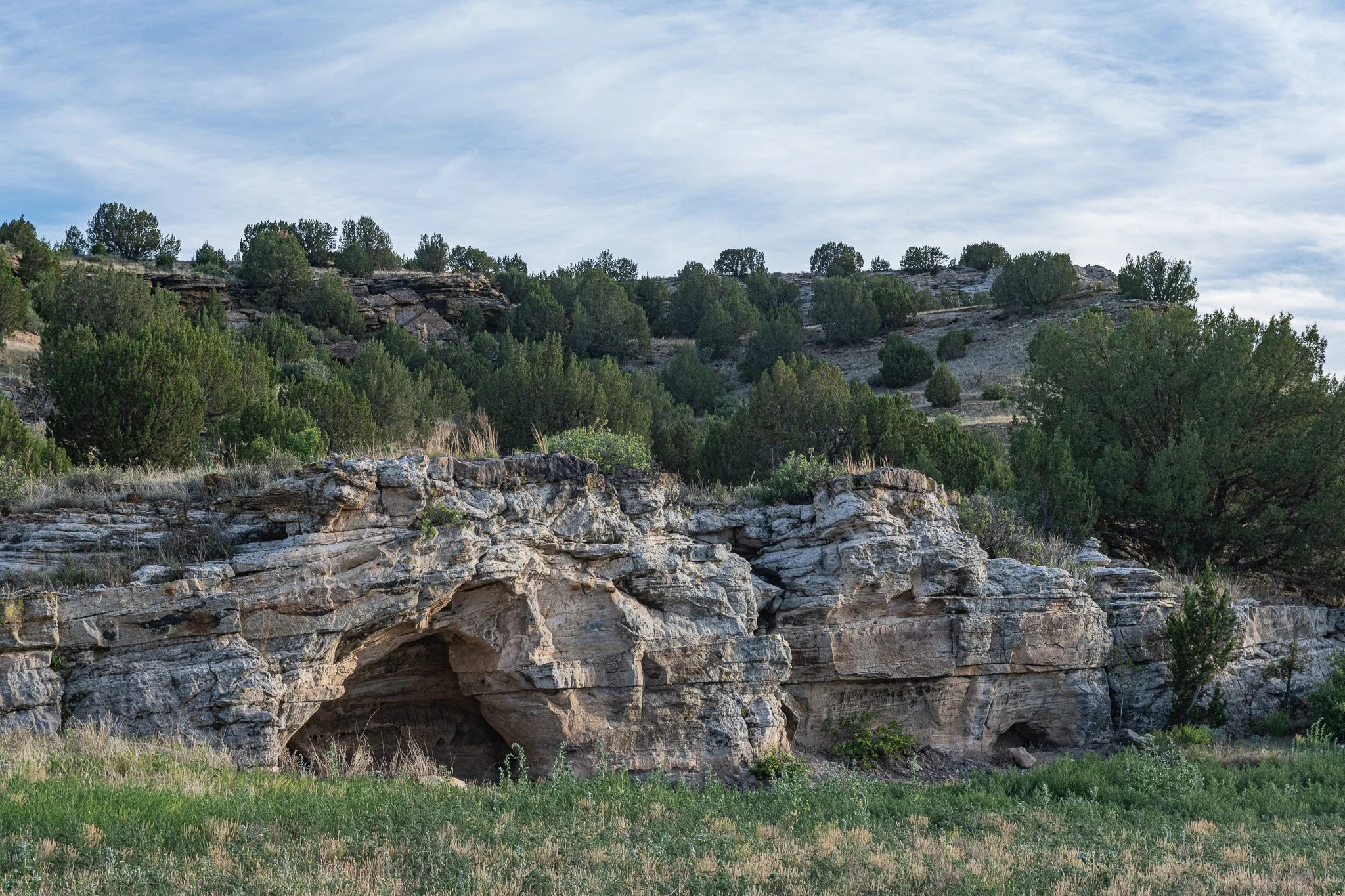 DSC_4763-2.jpg
