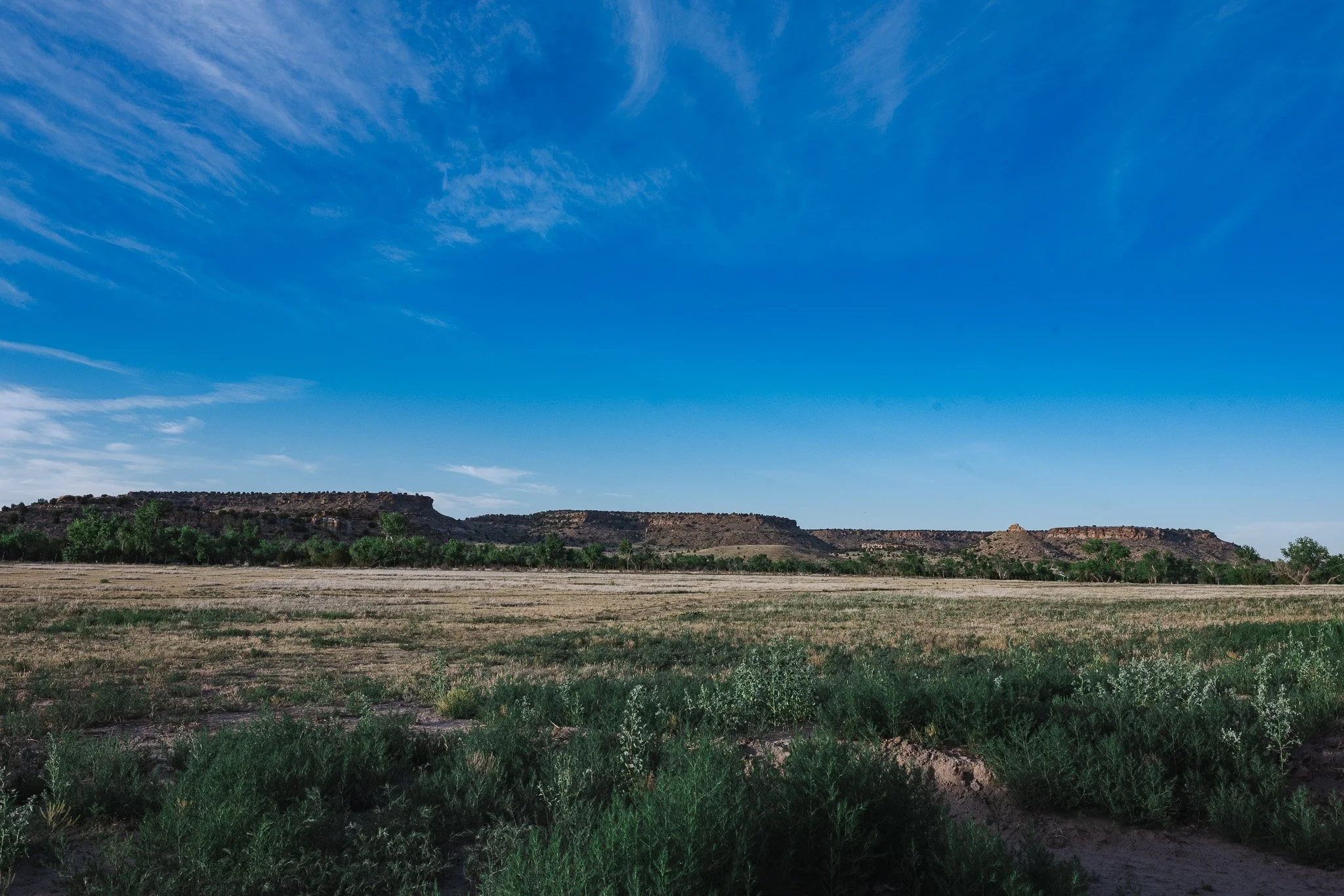 DSC_4766-2.jpg