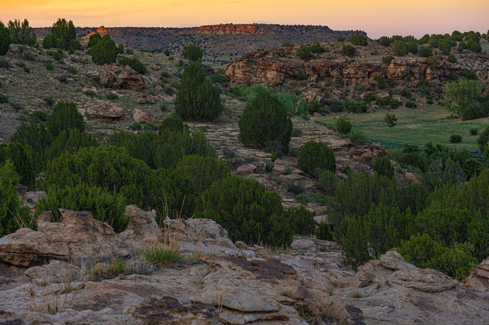 DSC_4800-2.jpg