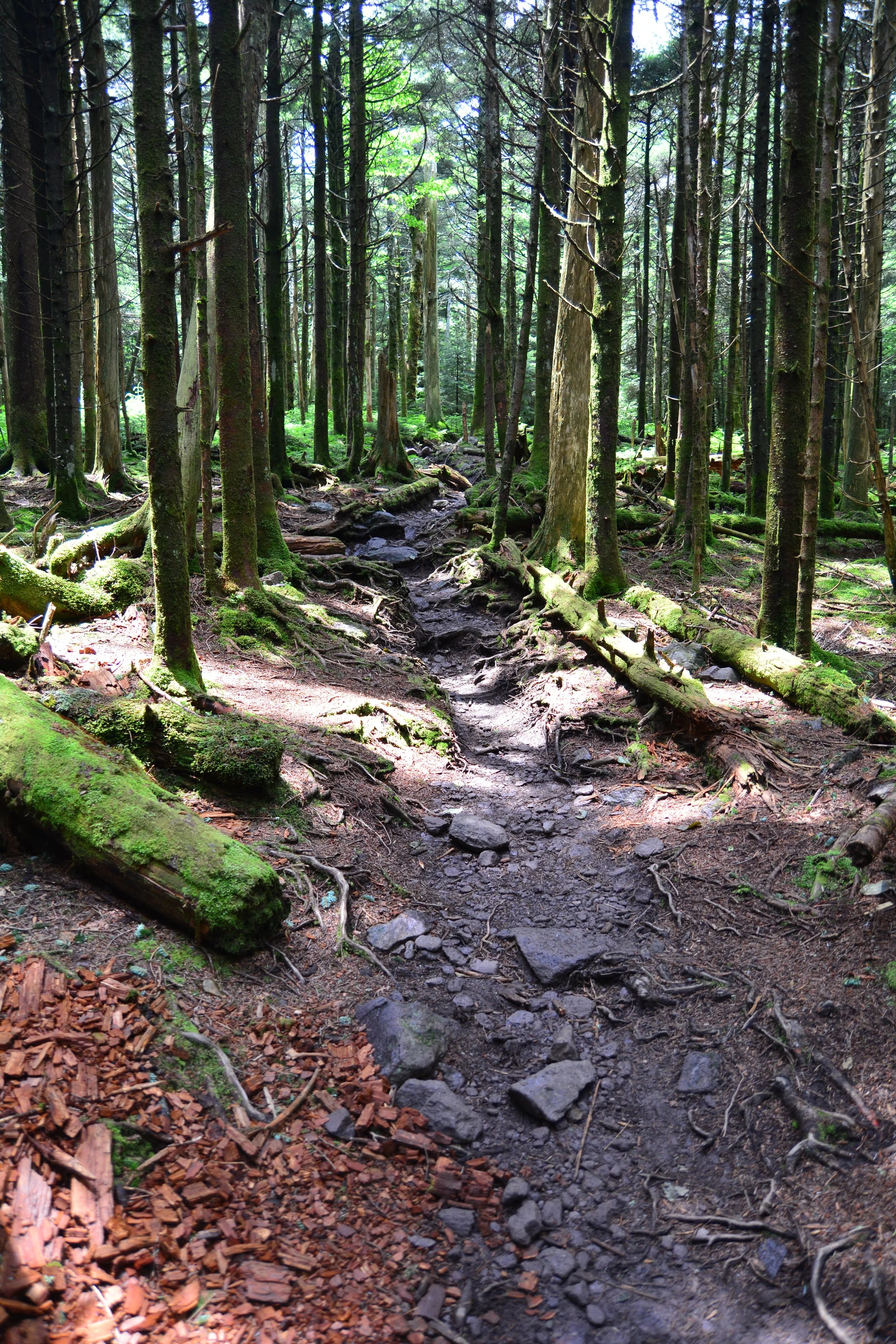 DSC_1386.JPG