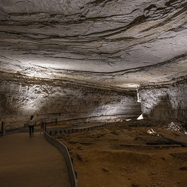 Roots and Wonders in Western Kentucky