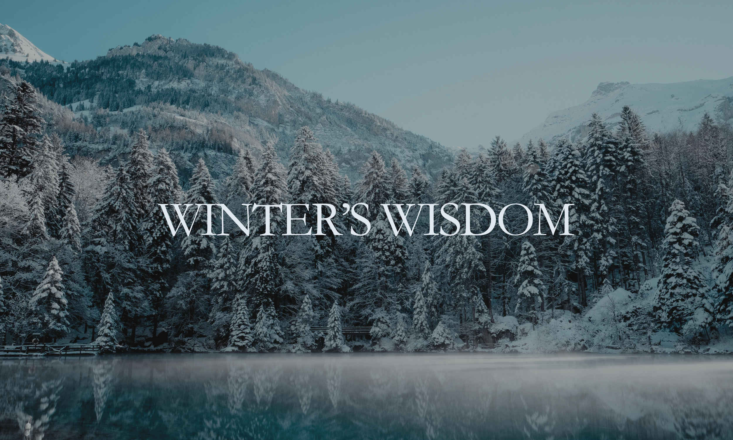Winter’s Wisdom…