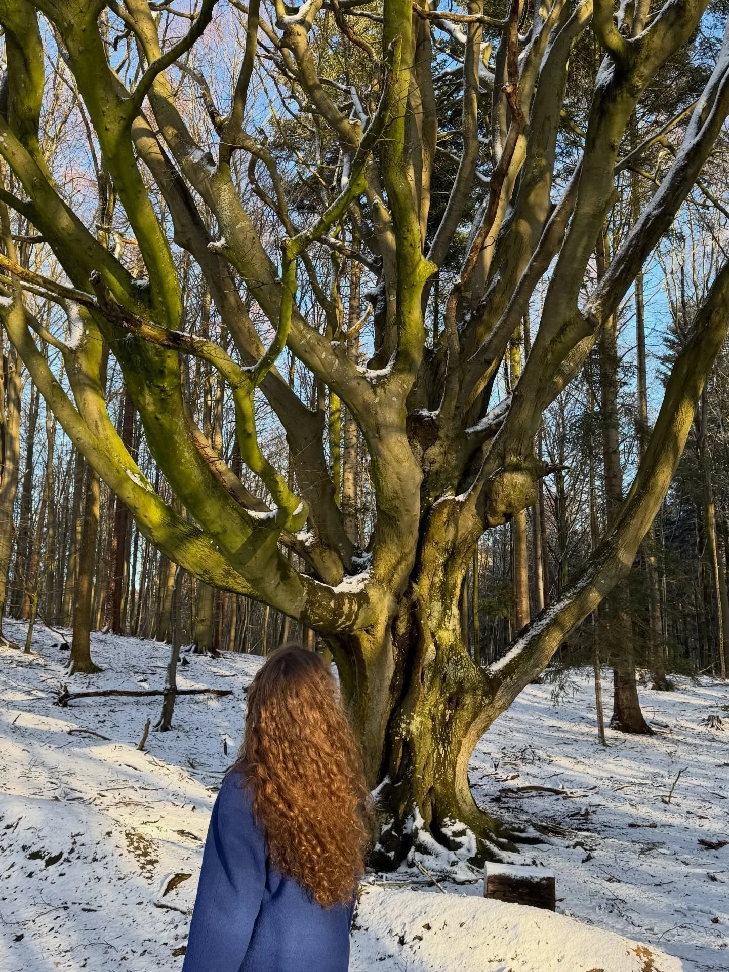 Living a simple life, attuned to the natural realm, anchors me in my becoming as a mother. 

Both nature and motherhood have much to teach us about resilience. 

A wildflower&mdash;the more it is cut back, the more it grows. Likewise, the more challe