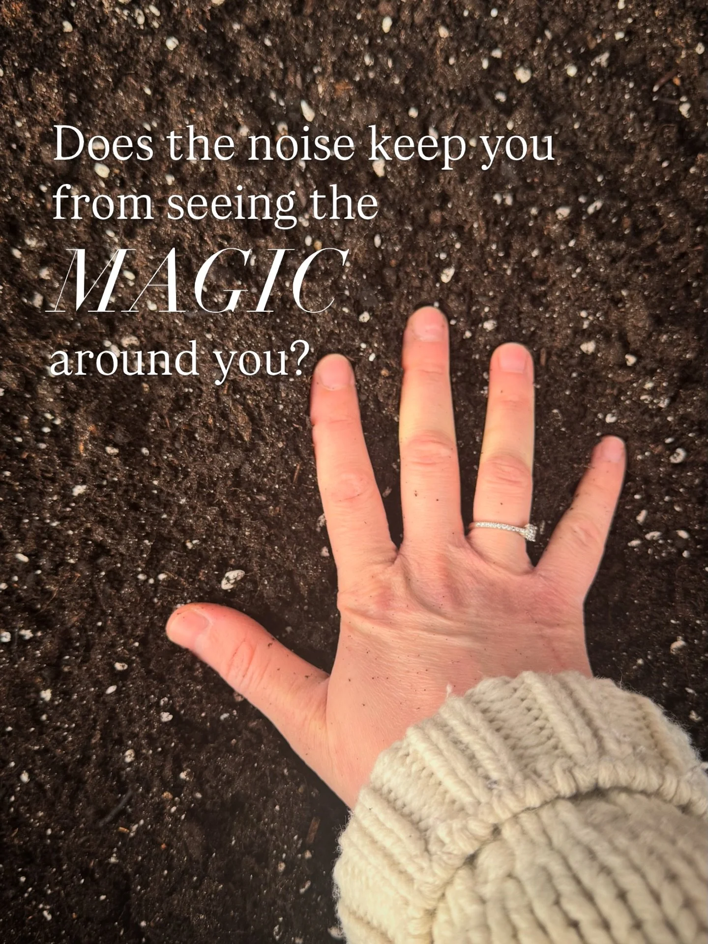 The last few days have been quiet&hellip;
but something within me has been softly shifting.

Spring is reminding me&mdash;
flowers take time to bloom.

And maybe&hellip; so do we.

We say we don&rsquo;t have enough time.
But what if we&rsquo;ve just 