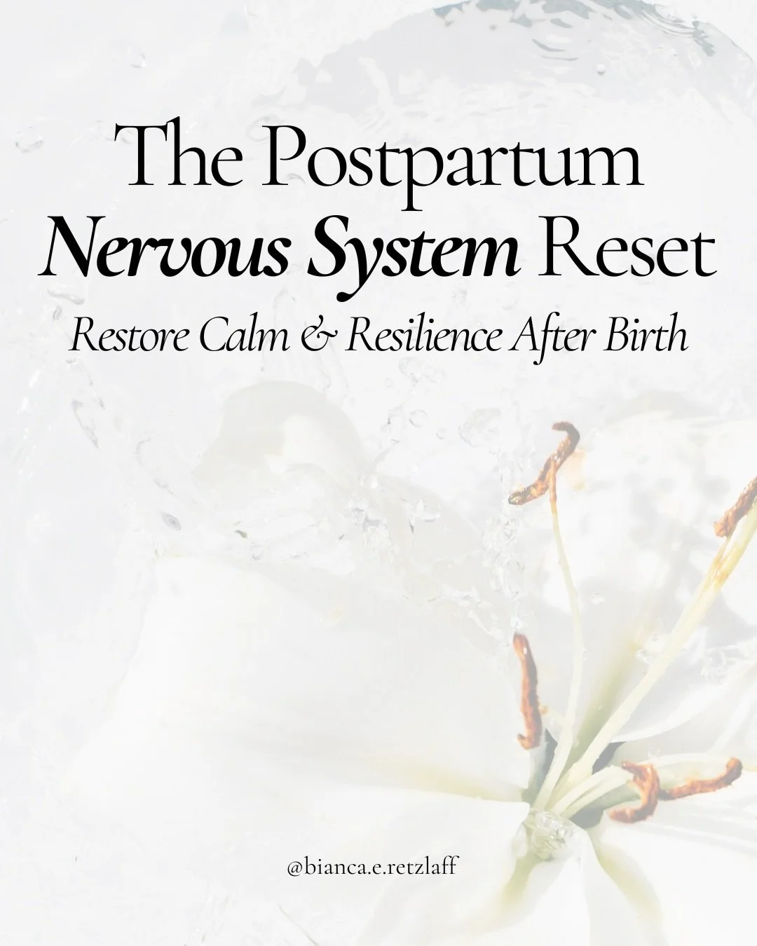 This is the program I wish I had after giving birth to my baby girl.

It would have spared me so much anxiety and despair, which is why I created it&mdash;for you to feel held and understood in those days, weeks, months, and even years postpartum, wh