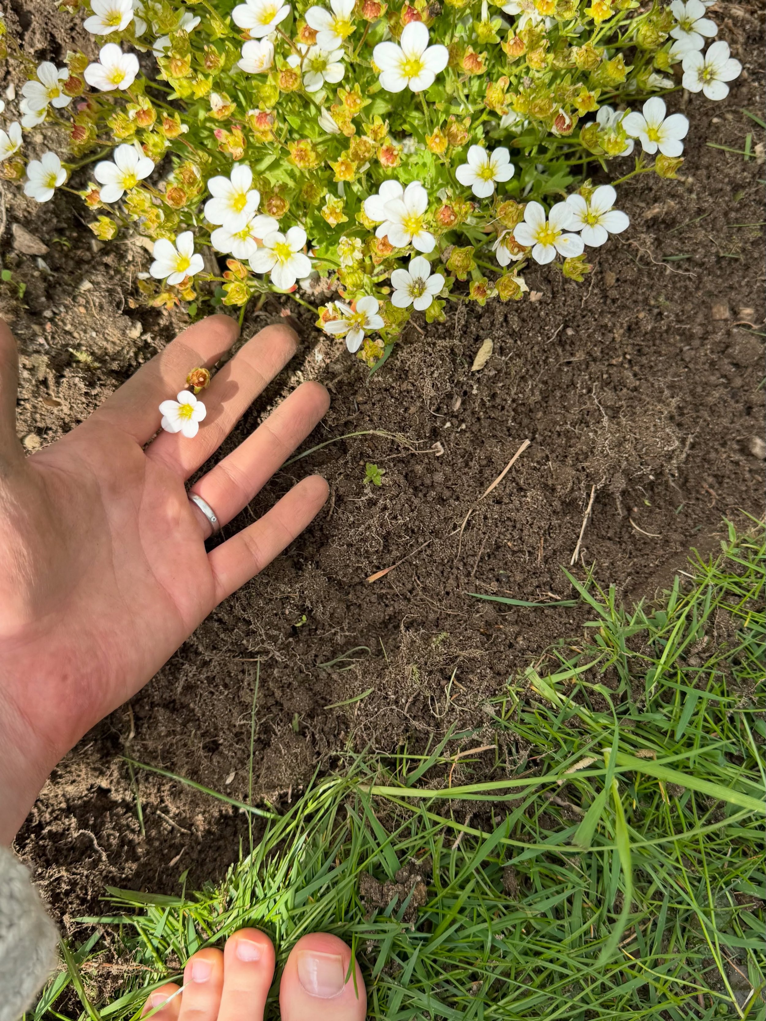 THIS is what I focus on right now 👇

Creating space in my head, planting my feet on the ground, and expanding my capacity to hold everything that is unfolding in this season of life.

If motherhood is teaching me anything, it is that my intuition is