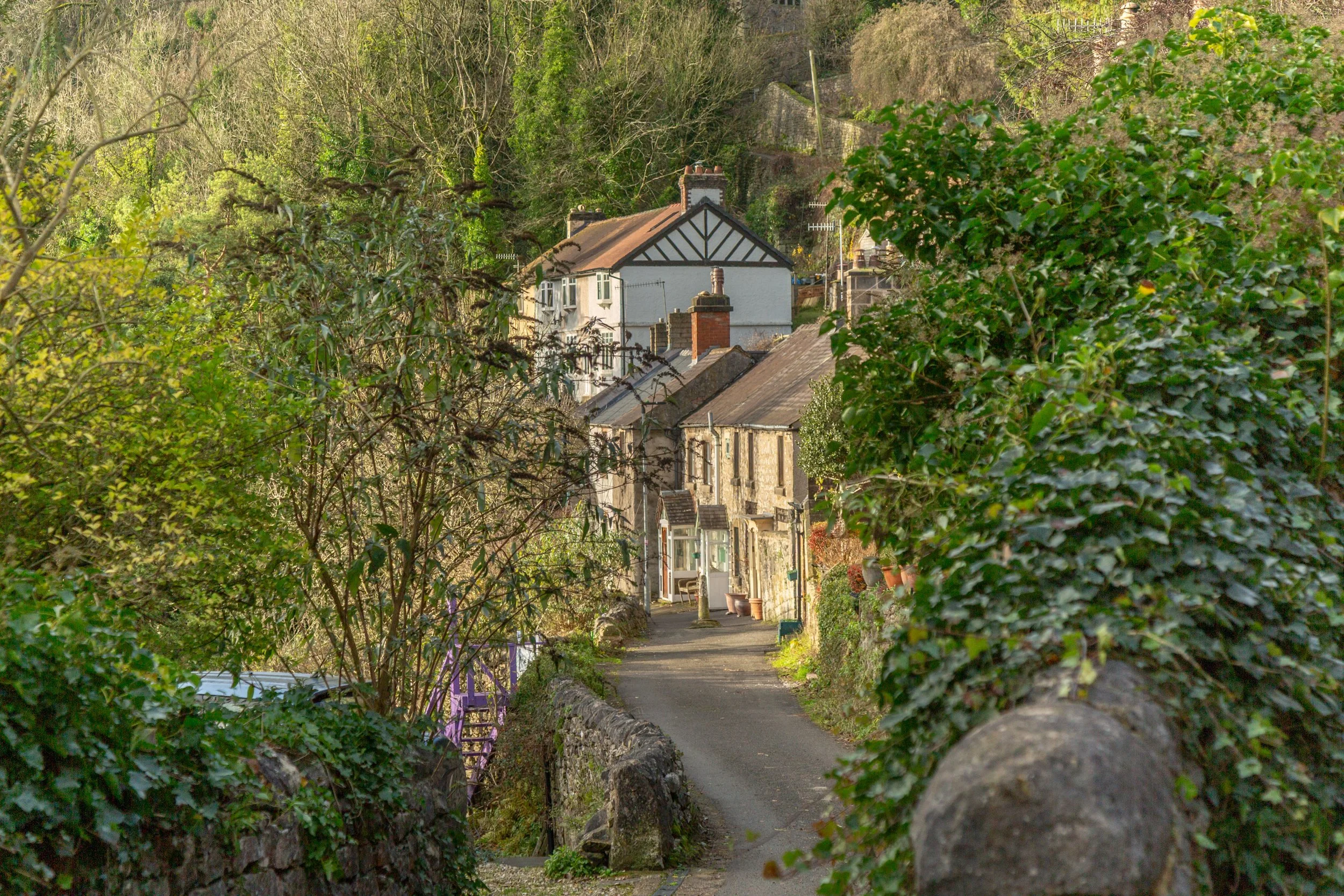 10-12-2025_1 Charnwood Terrace-1-2.jpg