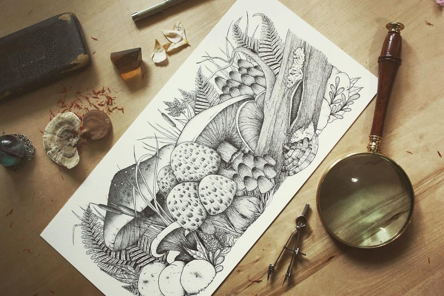Mushroom illustration ⁣
⁣
Forest floor 🖤⁣
⁣
Anyone else an Autumn person? 🍂⁣
⁣
#yycillustrator #autumn #mushrooms #mushroomillustration #artbotanica