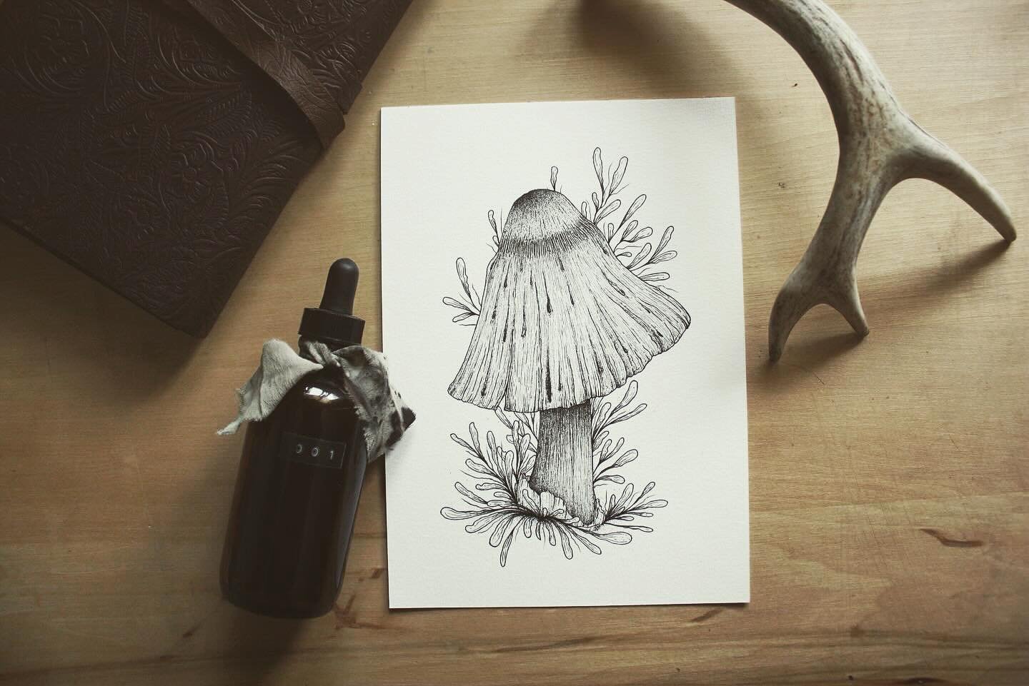 Mushrooms every day 🖤⁣ 
⁣
#mushrooms #mushroomillustration #yycillustrator #tincture