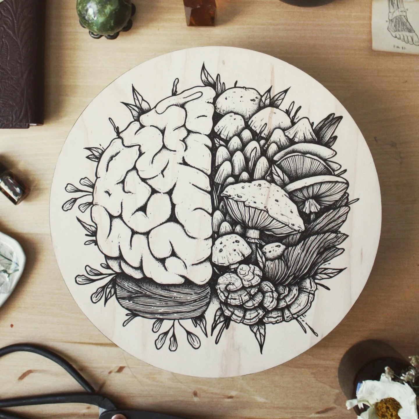 So happy to see &ldquo;The Herbalist Mind&rdquo; heading to its new home this Christmas 🖤⁣
The Body Farm collection will be on view until April⁣
⁣
Be sure to come check it out.⁣
⁣
@thenextpageyyc 
Curated by @kithandkinyyc 

#yycillustrator #artbota