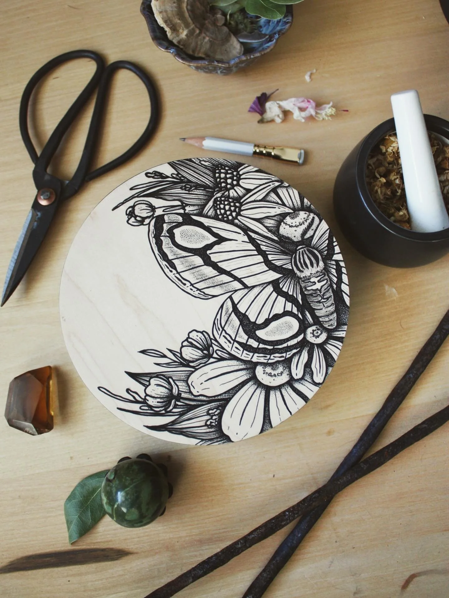 All of the new illustrations are coming together for the upcoming @thepinkdoorshow show at the end of the month, along with a few new pieces heading to the website. I&rsquo;ve been deep in my love for moths lately and find them endlessly fascinating.