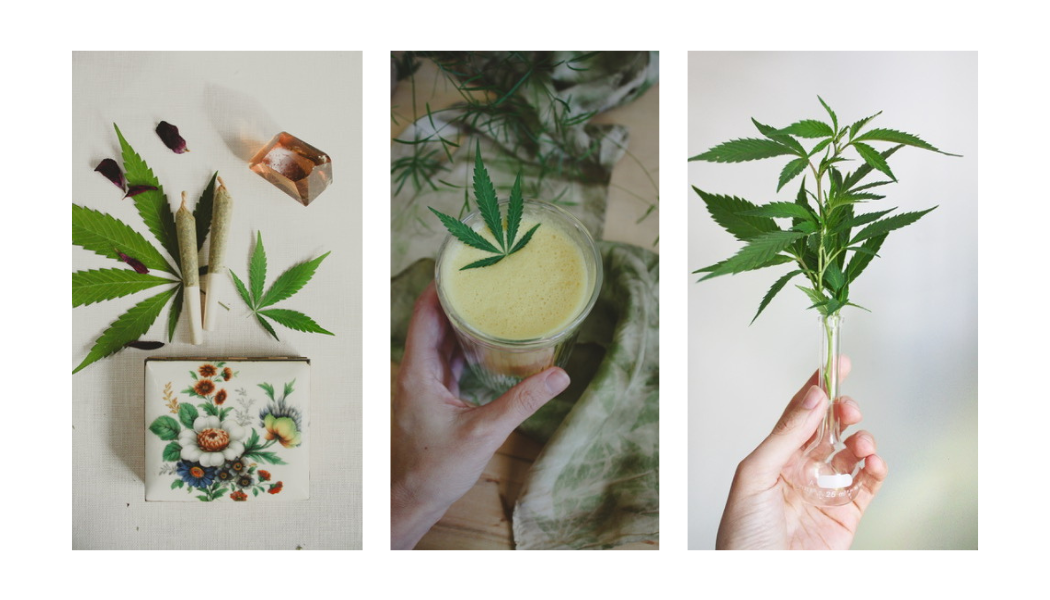 Cannabis.png