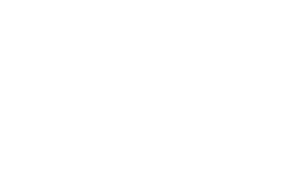 True Chocolate Company