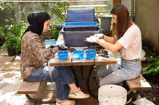 Découvrez le lombricompostage