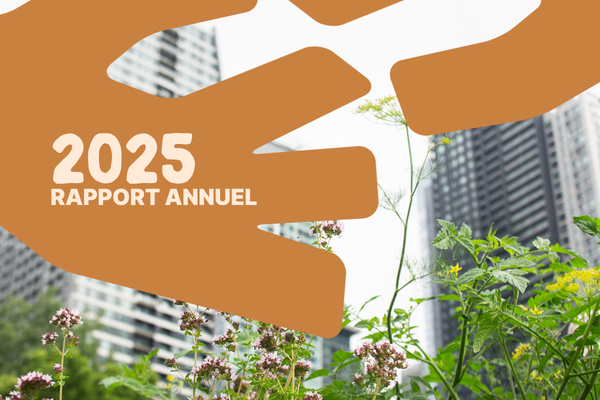 Rapport annuel 2025