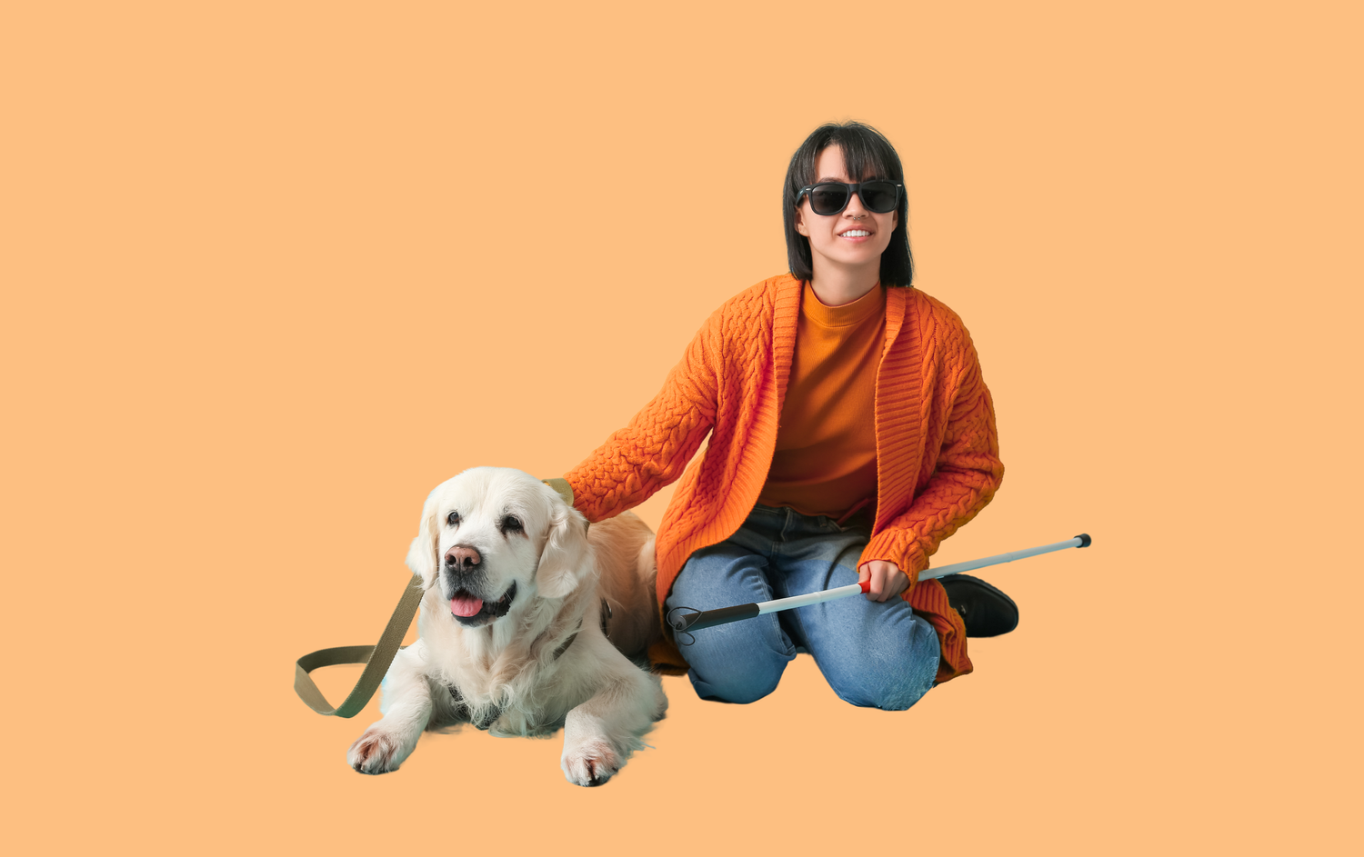 Canada Disability Benefit