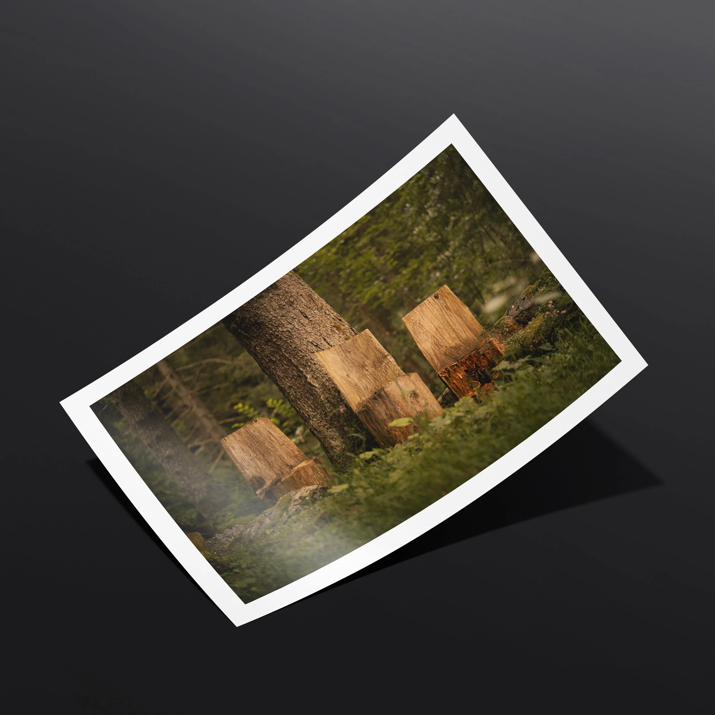 woods mockup2.jpg