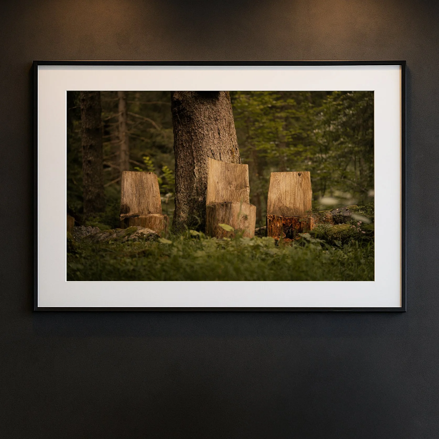 A Break From Civilisation.