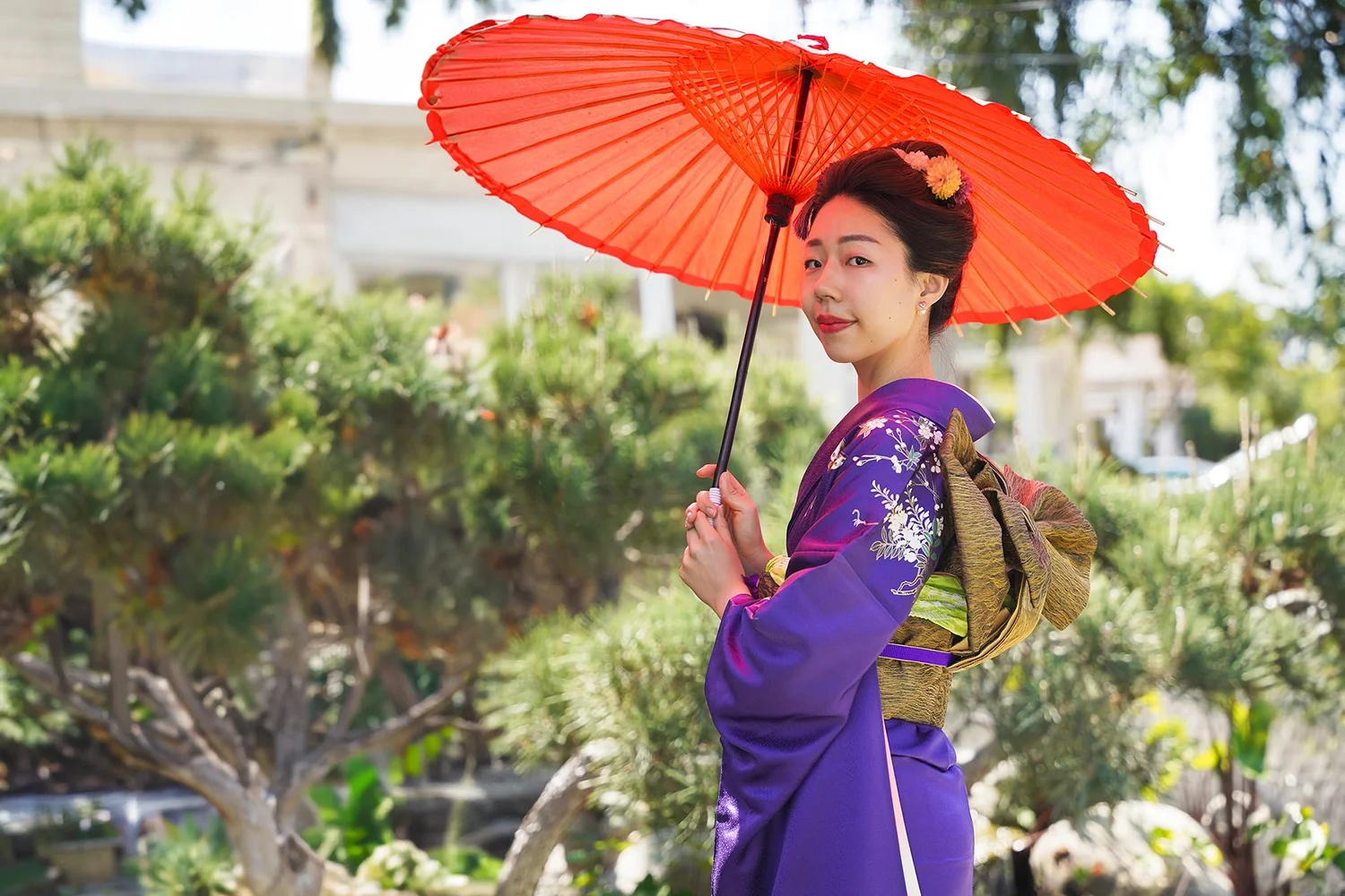 Woman in a purple kimono holding a red Japanese parasol