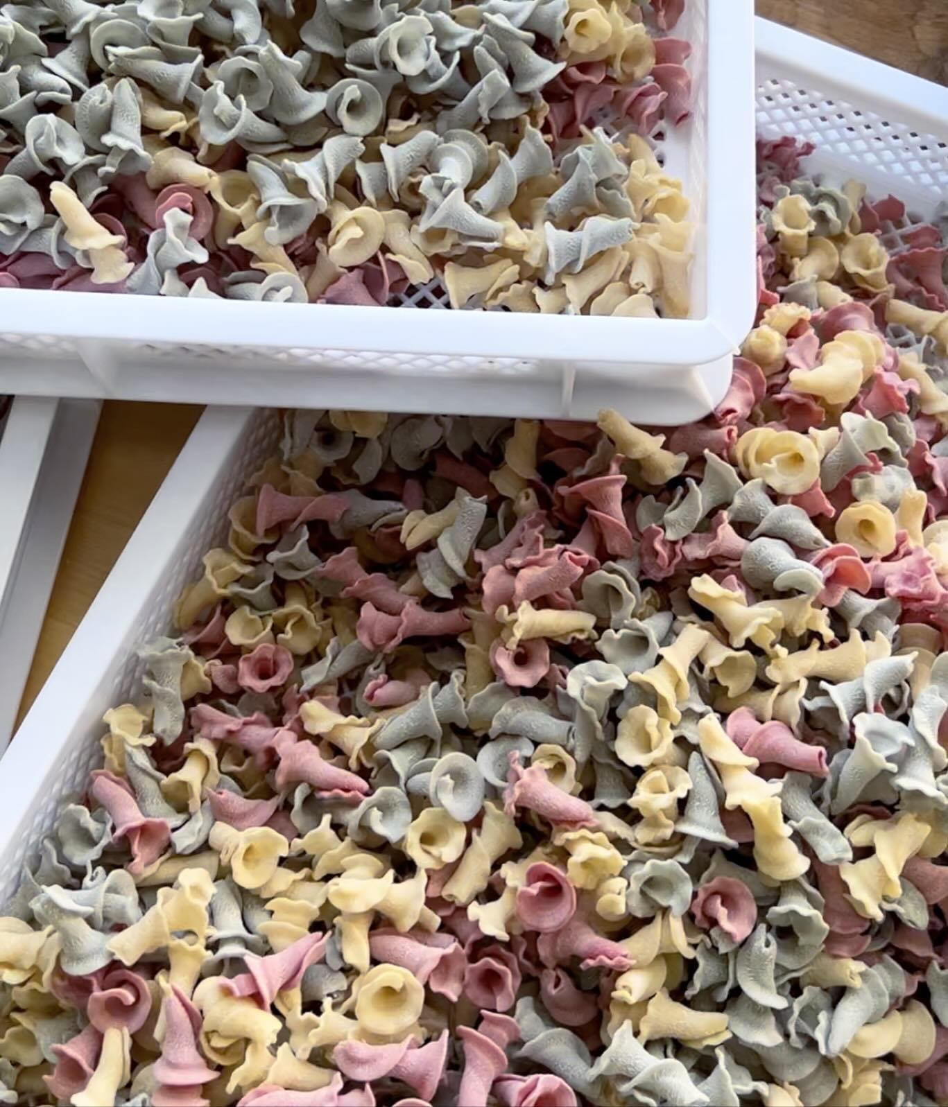 &quot;Pastel Patriotic&quot; campanelle tomorrow at the @westtisburyfarmersmarket. Naturally dyed with butterfly pea flowers and beets.
