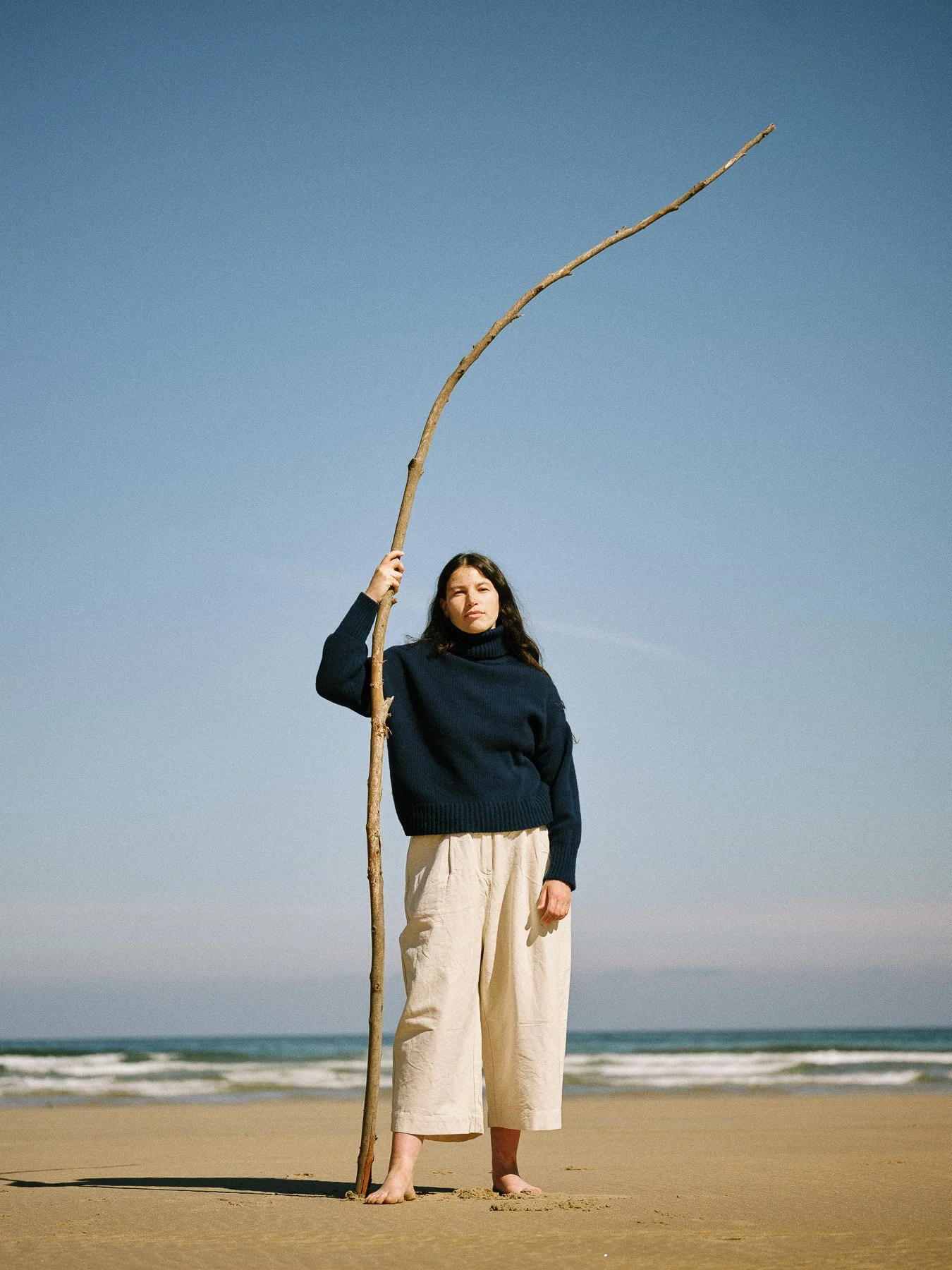 MATERIA BOTANICA 2540171.jpg