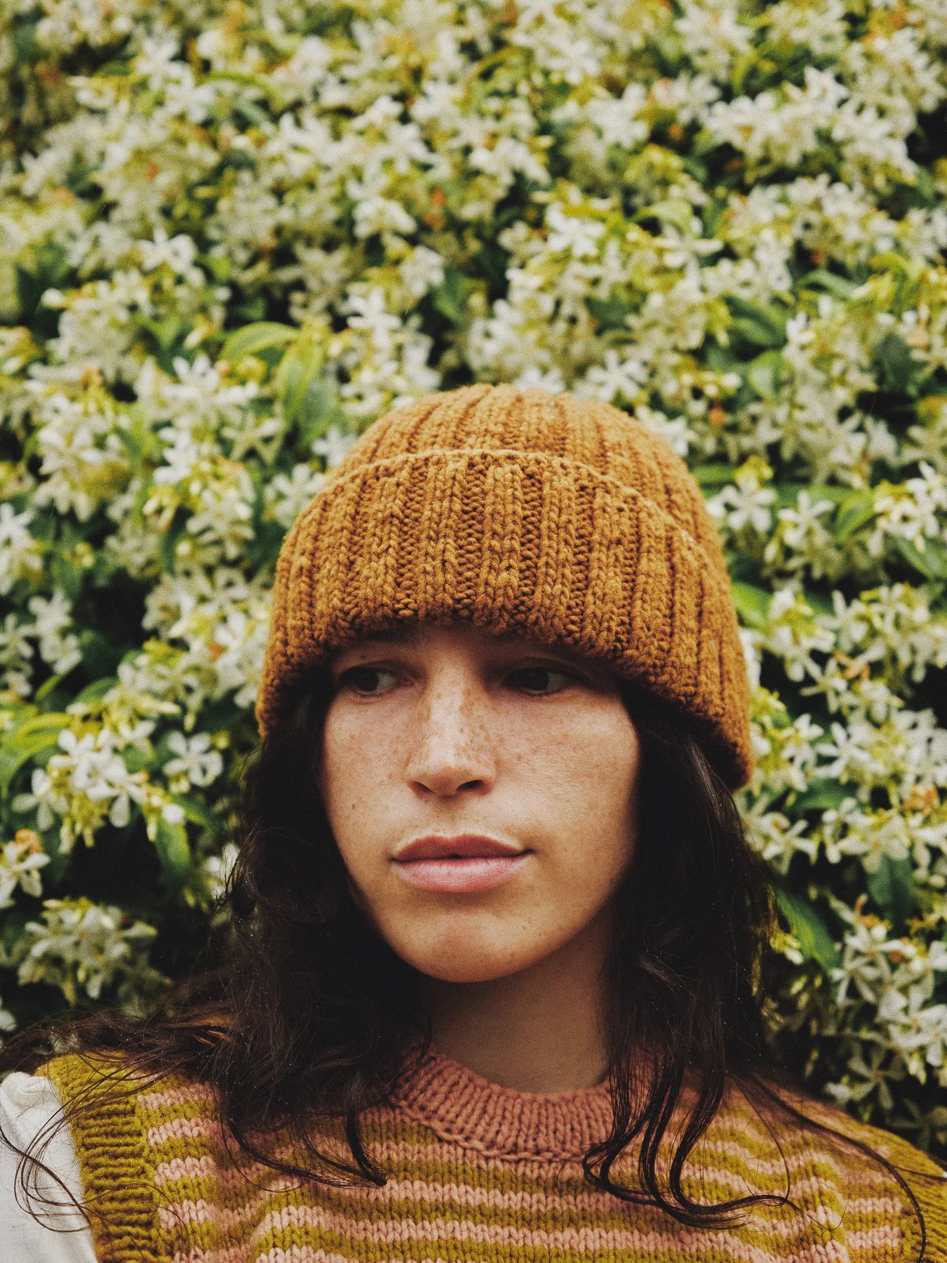 MATERIA BOTANICA 2542554.jpg