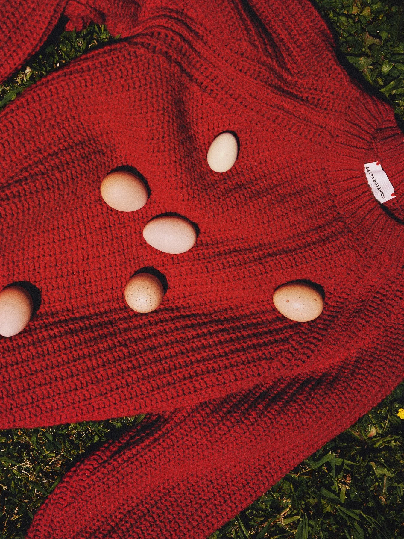 Sierra jumper | cereza