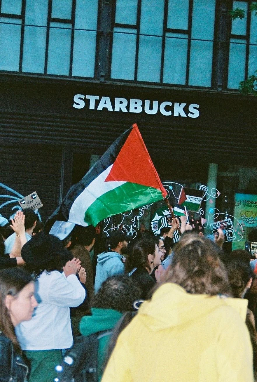 WhatsApp Image 2024-06-01 at 23.08.54.jpeg