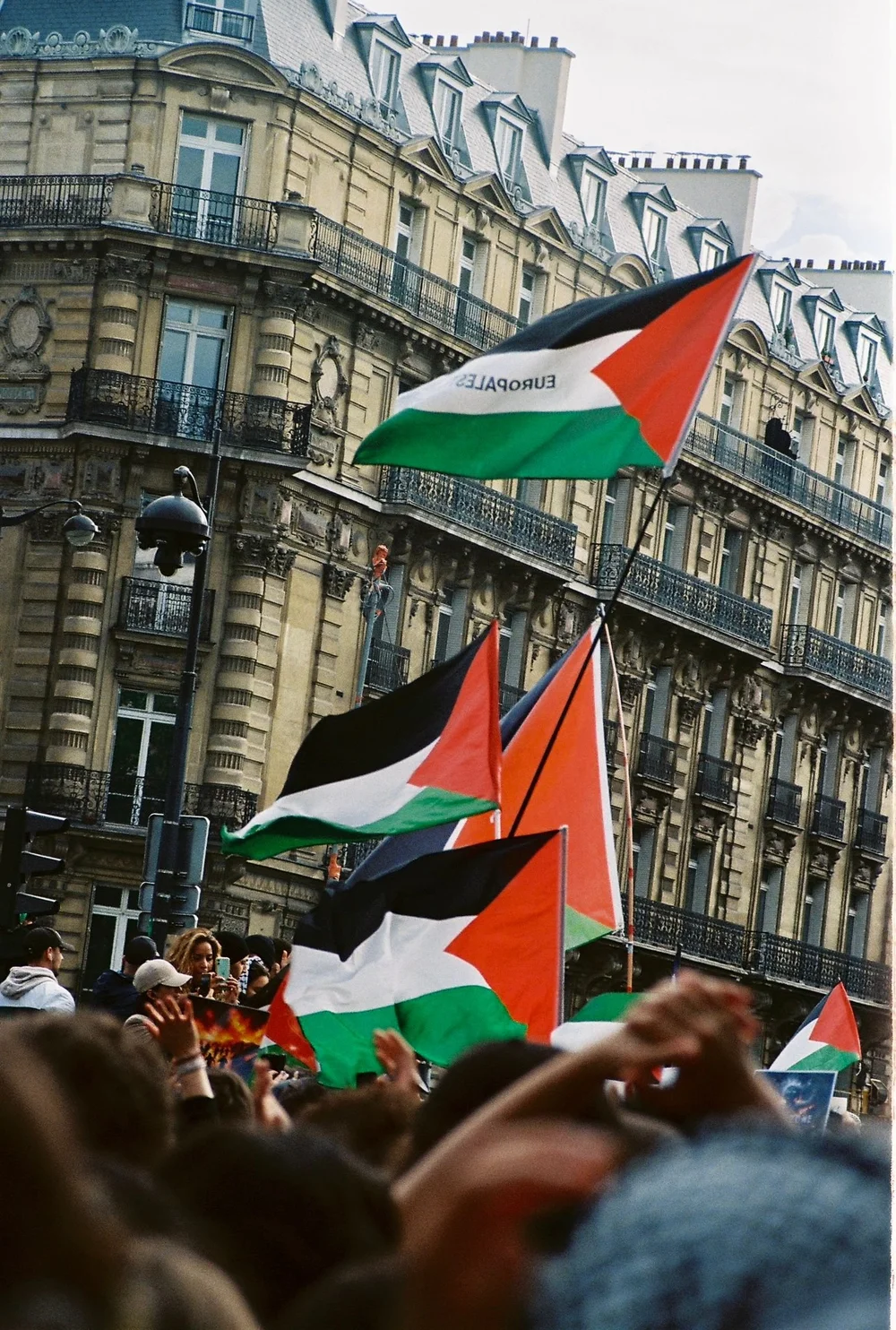 WhatsApp Image 2024-06-01 at 23.08.56.jpeg