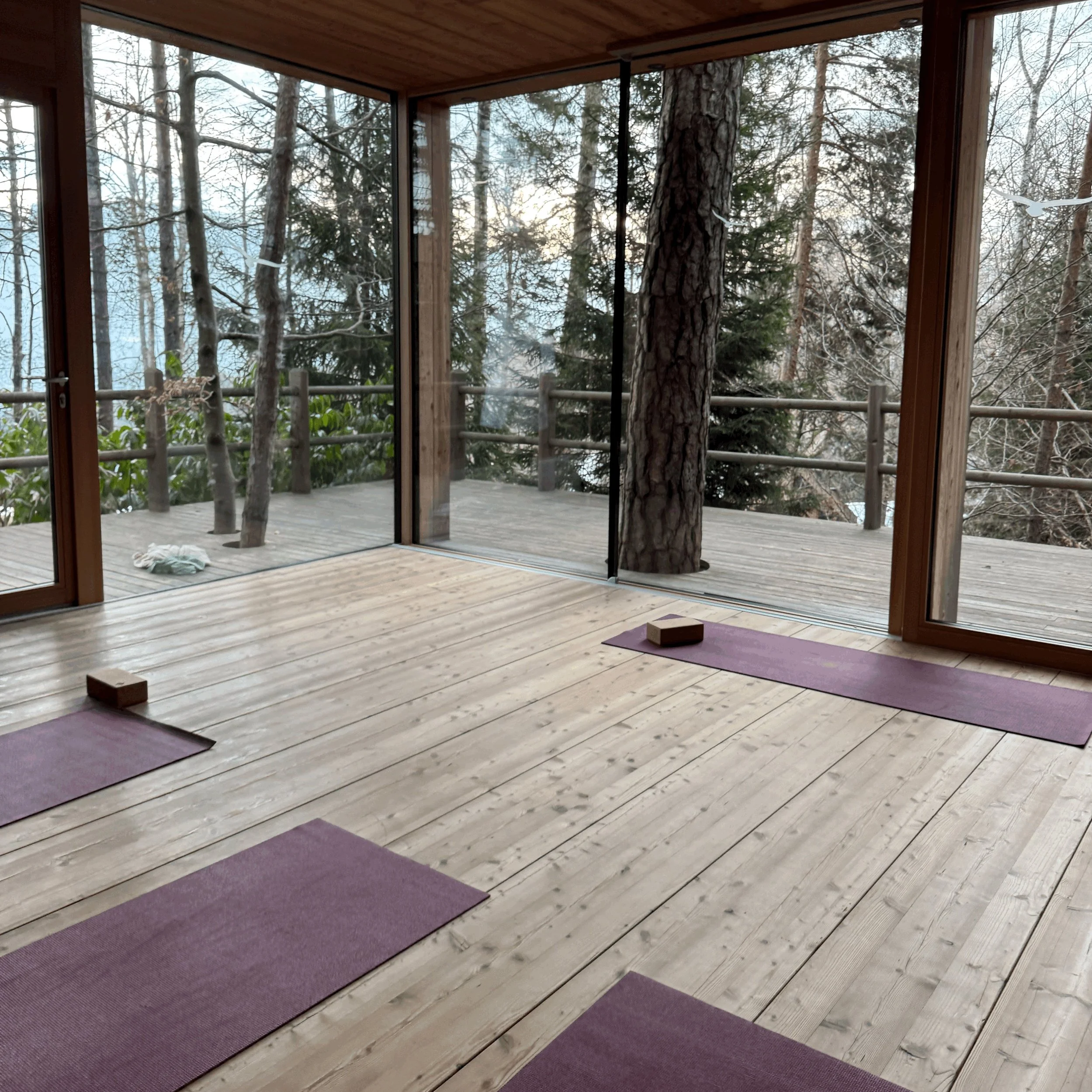 Adler Retreat
