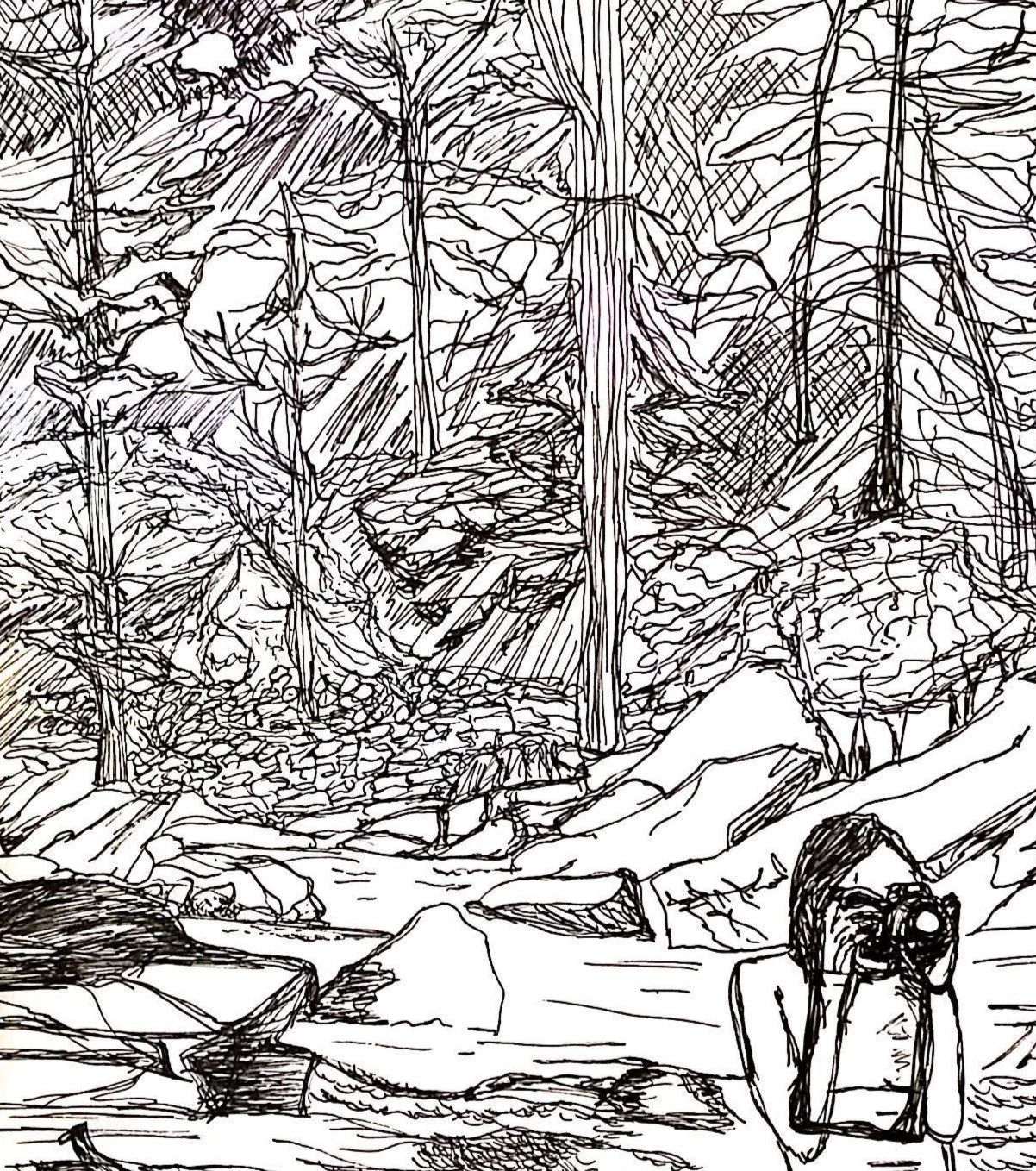 SKETCH6.jpg