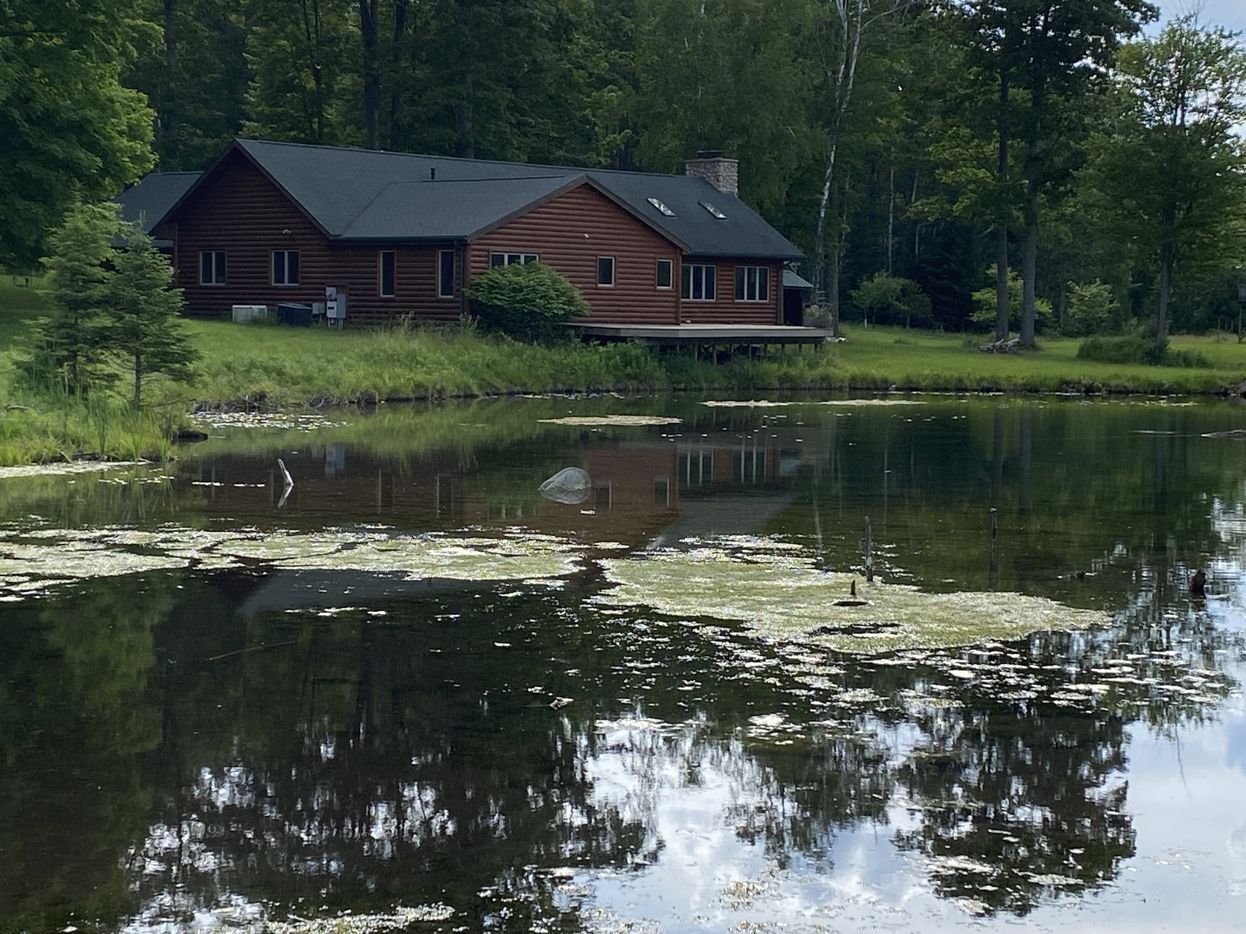 Grouse Camp in Curran Michigan