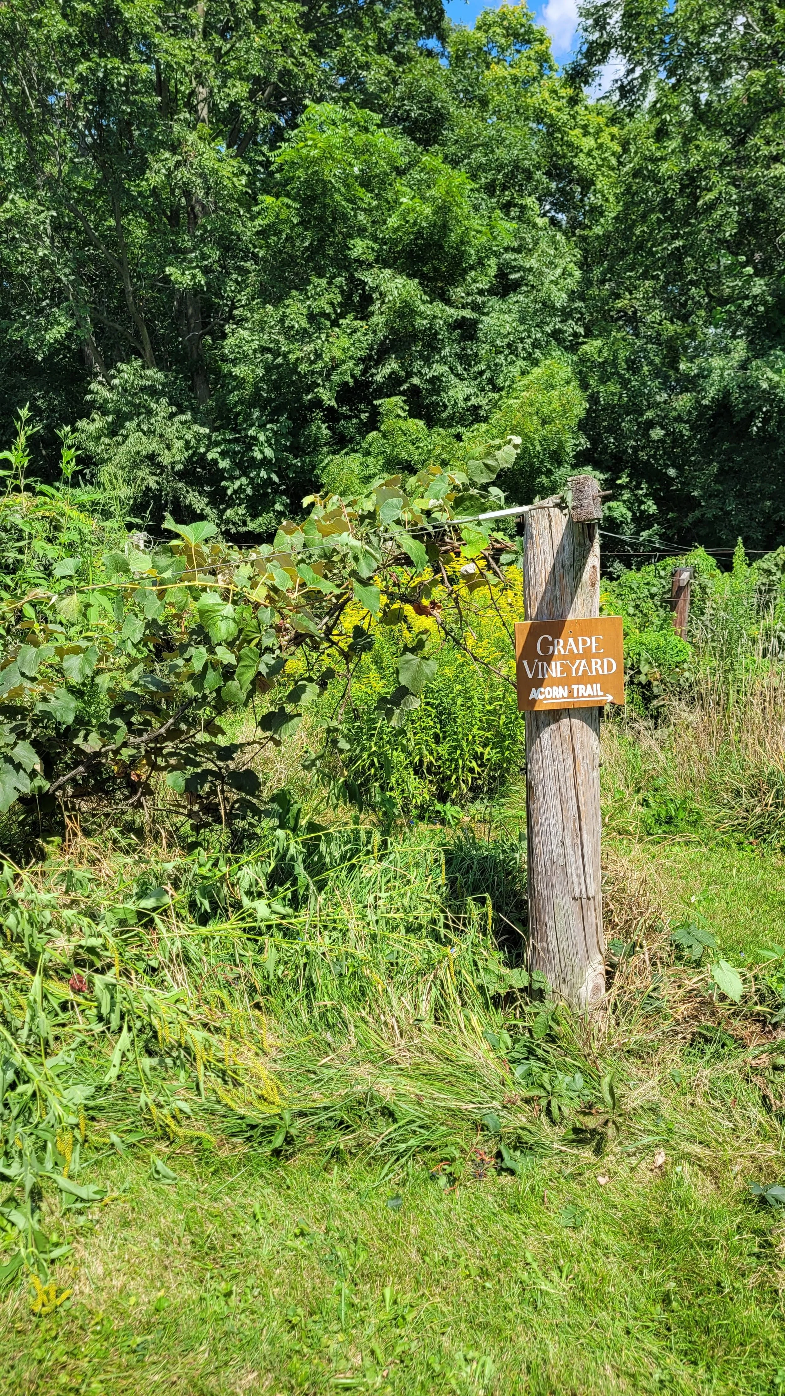 20240813_114138.jpg