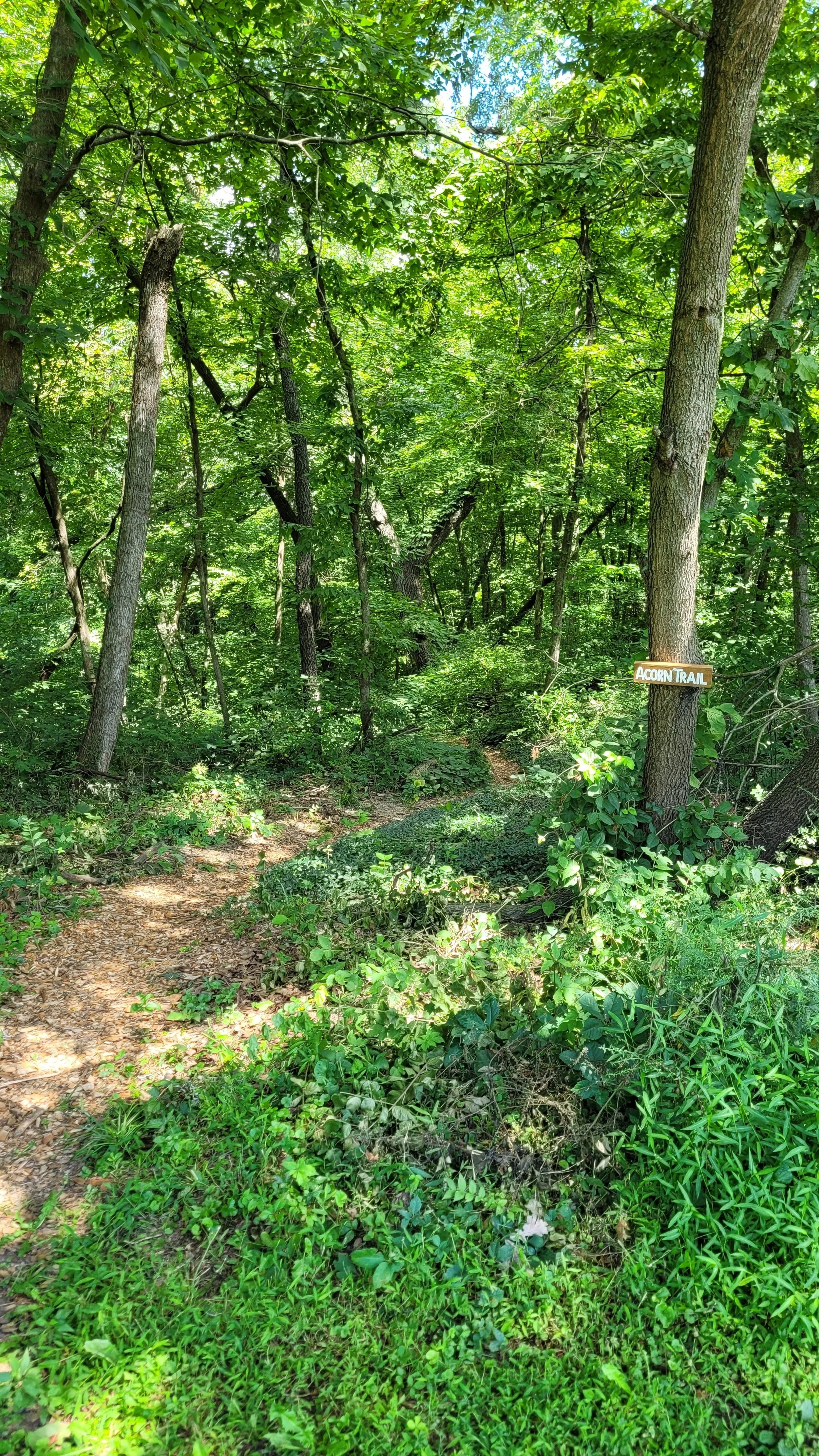 20240813_114106.jpg