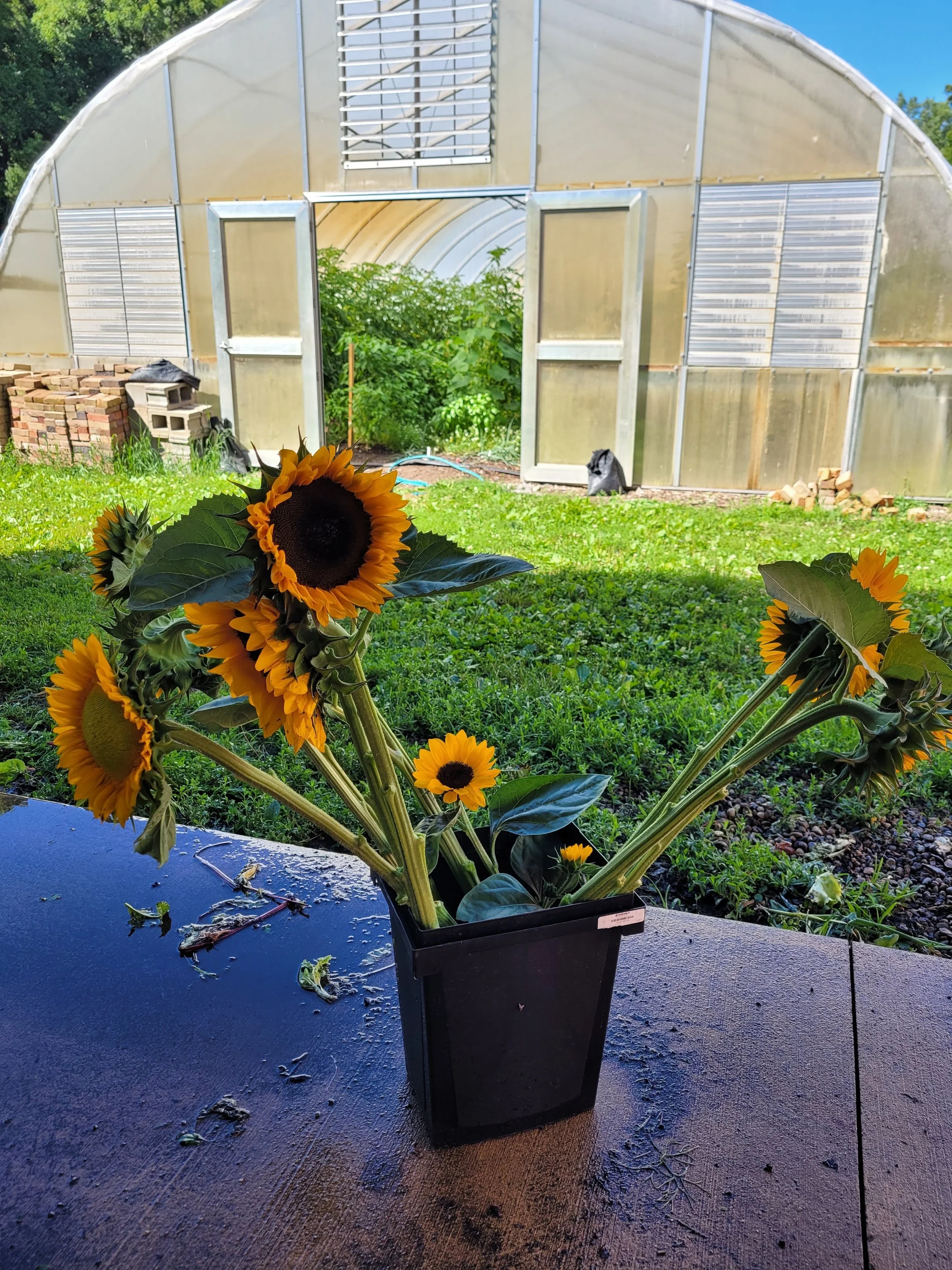 20240705_094044.jpg