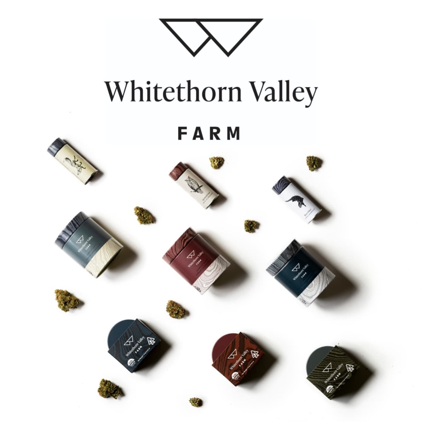 Whitethorn Valley Farm is a family-owned and operated regenerative farm located in southern Humboldt County. Our family has lived here for five generations. By recognizing their successes and failures, we claim our inheritance and take our turn at wo