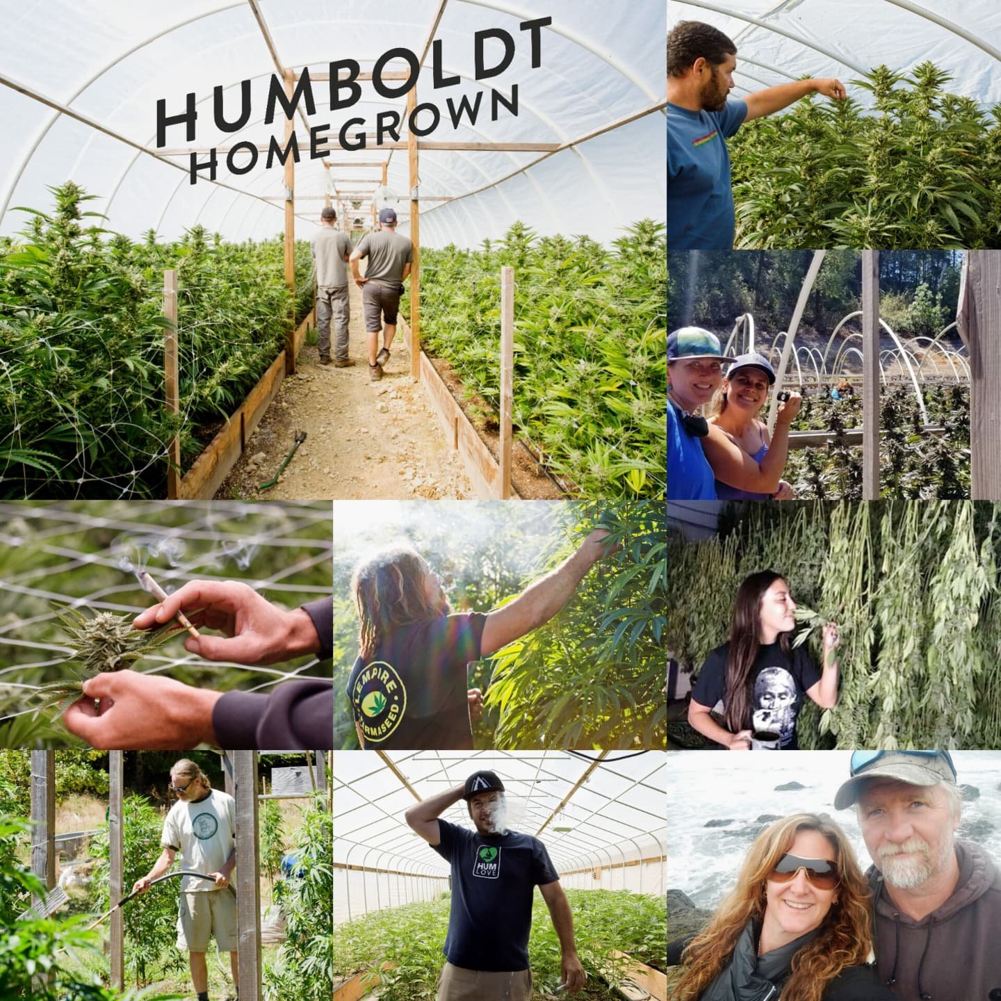 Humboldt Homegrown is a group of nine legacy farmers from Southern Humboldt who work collectively under one house brand. We have a combined 300 years of industry knowledge and proudly practice sustainable and regenerative growing techniques.☀️ Our ow