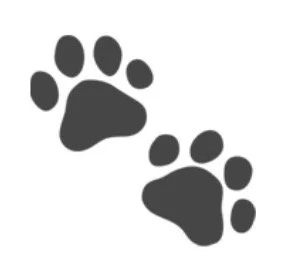 Two black paw prints on a white background.