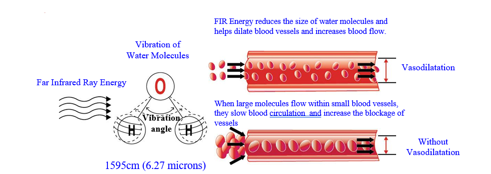 Diagram of how Far Infrared Sauna by Relax brand works in your body vasodilation