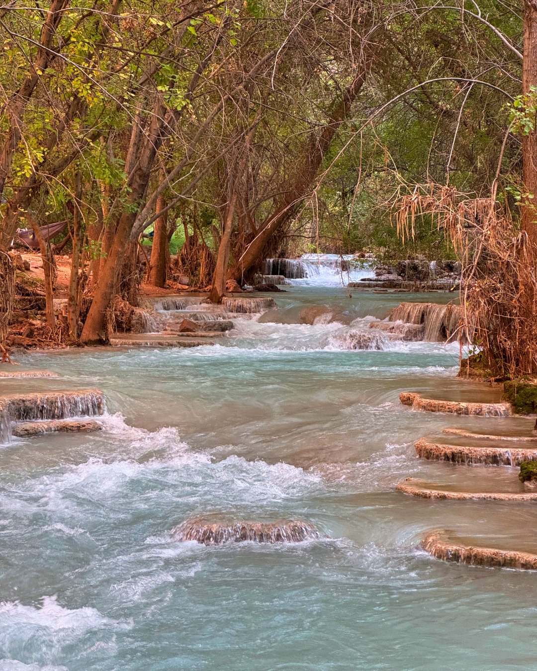 Gratitude has been the theme of my year&mdash;woven through every project, every client connection, and every beautiful detail we&rsquo;ve created.⁠
⁠
Because we believe personalized design is the foundation for a life well-lived.⁠
⁠
#AYearOfGratitud