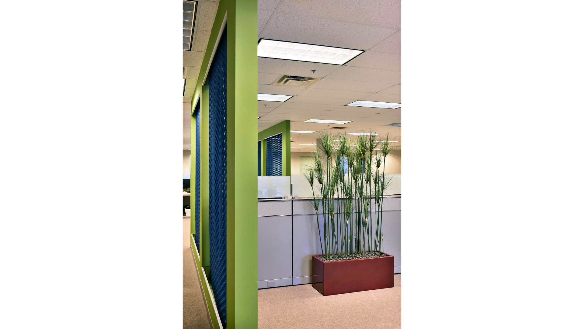 Tech office, north scottsdale