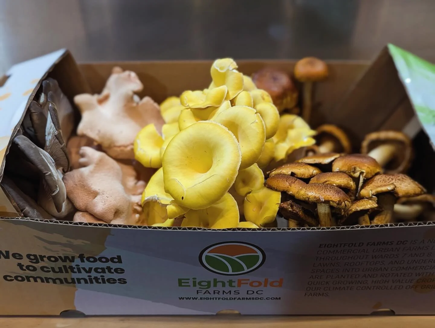 Huge thank you to @eightfold_farmsdc for dropping off these gorgeous mushrooms! We love supporting other local spots and would love for you to check them out too - they're a network of urban farms growing food in wards 7/8 of the city! 🍕 🦴 
&bull;
