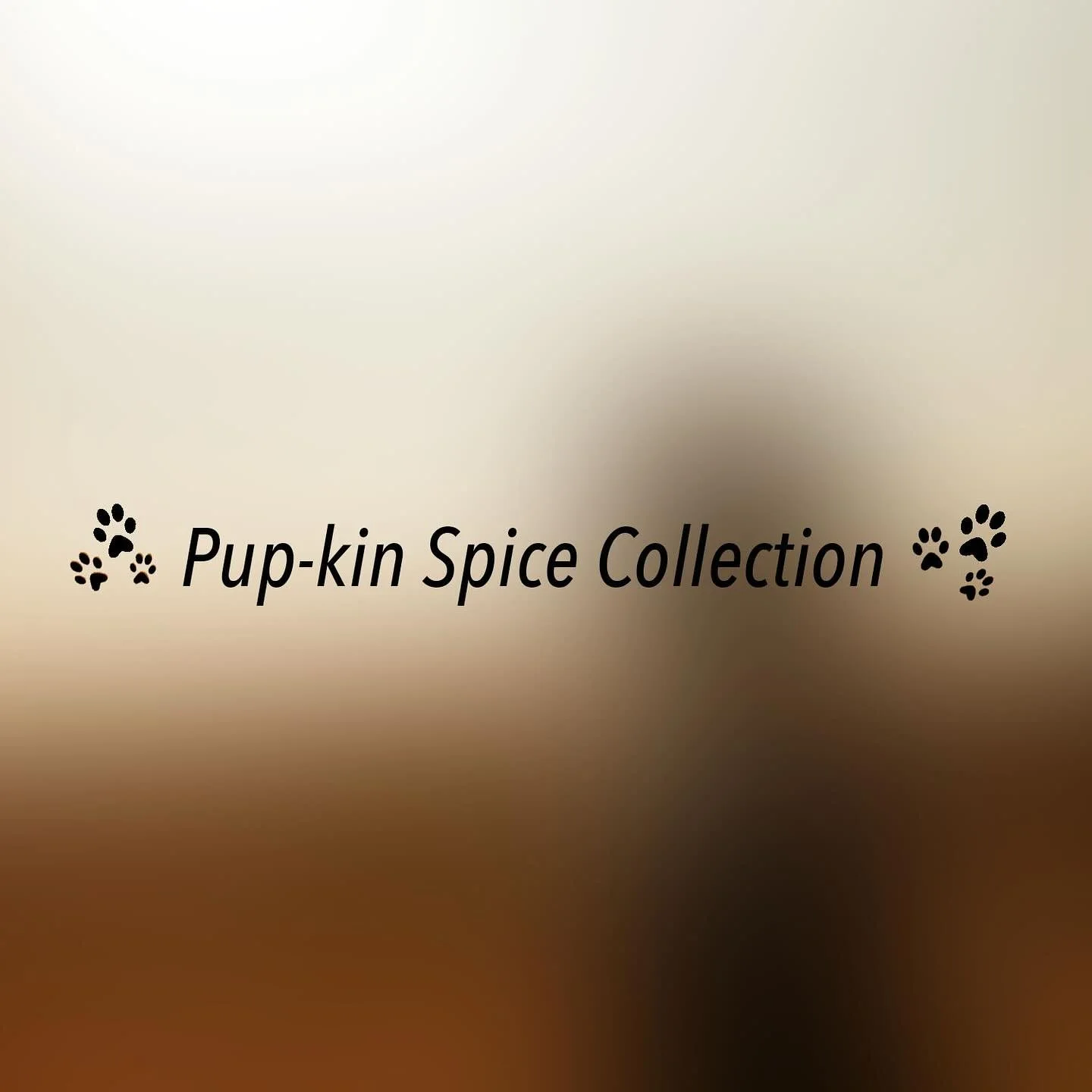 •Pup-kin Spice Collection•
•
•
•
#fall #fallphotography #fallphotoshoot #dogphotography #puppyphotography #photography