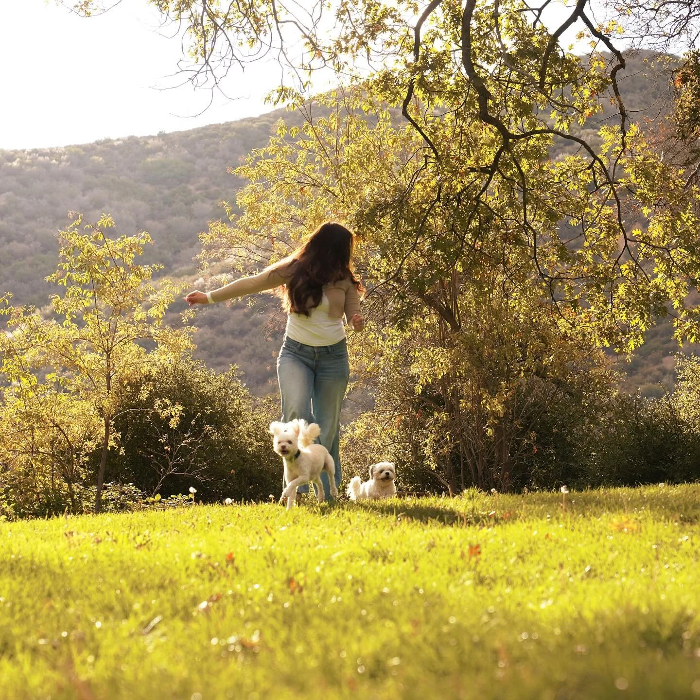 🍂Pup-kin Spice Collection🍂

A series of limited-time photos.
Each image in this Collection carries its own story.
&bull;
This gallery will only exist for a moment&hellip; until the next Collection arrives!
#photographer #photoshoot #fallphotoshoot 